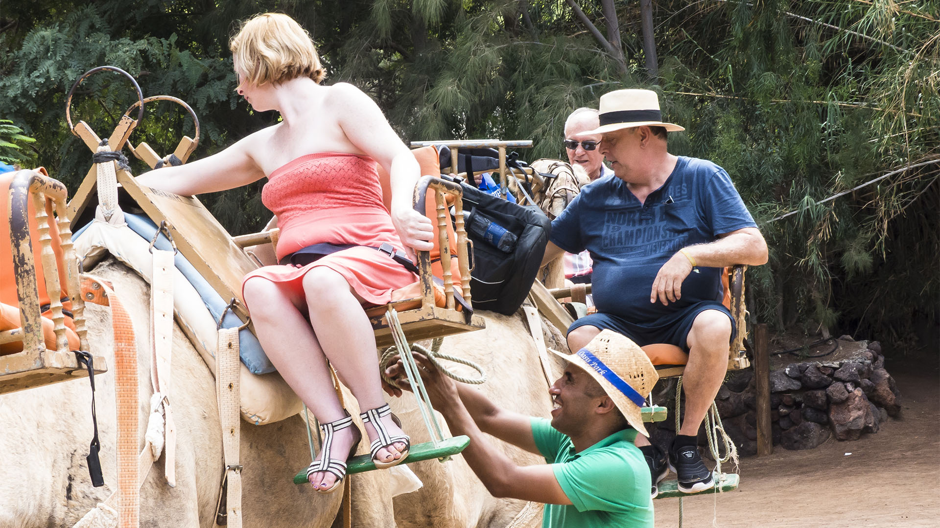 Freizeitparks Fuerteventura: Der Oasis Park in La Lajita – Tier- und Pflanzenwelt.