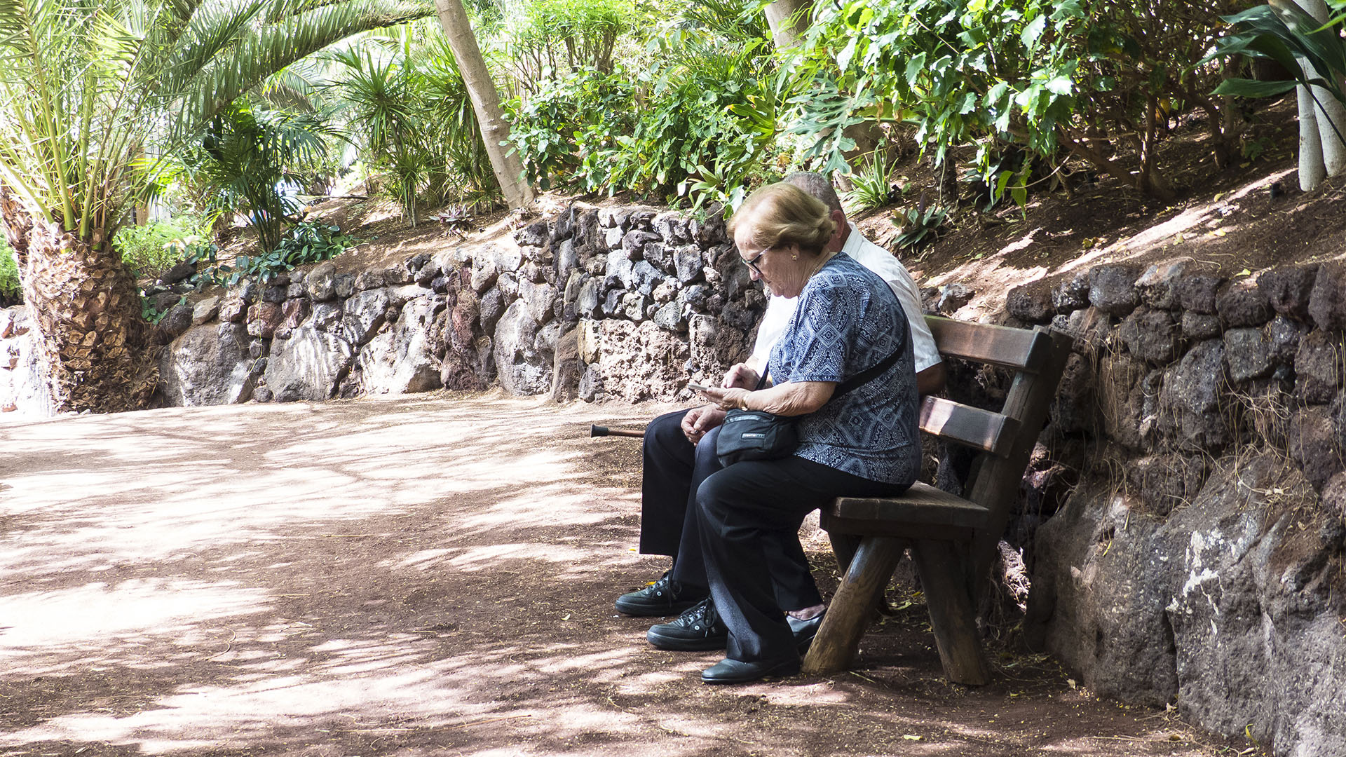 Freizeitparks Fuerteventura: Der Oasis Park in La Lajita – Tier- und Pflanzenwelt.