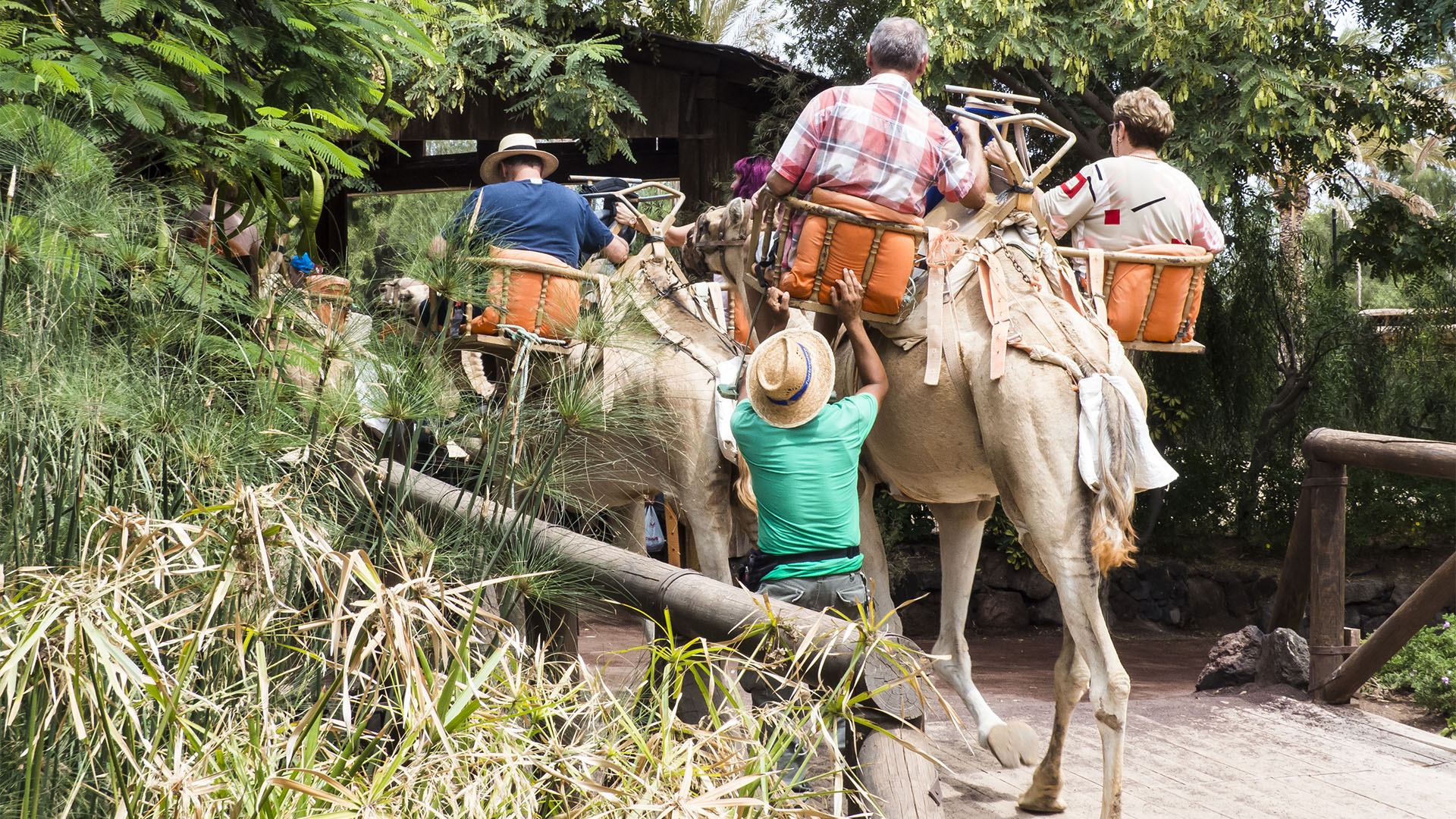 Freizeitparks Fuerteventura: Der Oasis Park in La Lajita – Tier- und Pflanzenwelt.