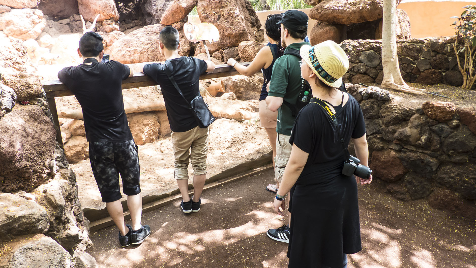 Freizeitparks Fuerteventura: Der Oasis Park in La Lajita – Tier- und Pflanzenwelt.