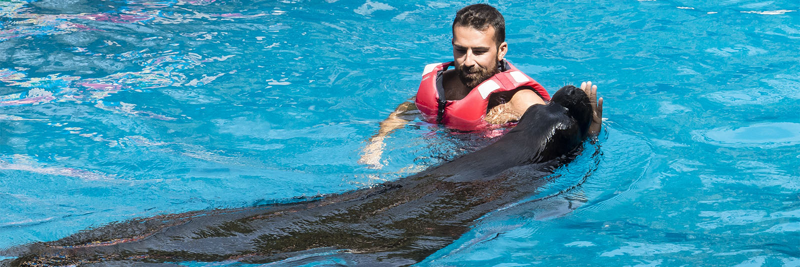 Freizeitparks Fuerteventura: Der Oasis Park in La Lajita – Tier- und Pflanzenwelt.