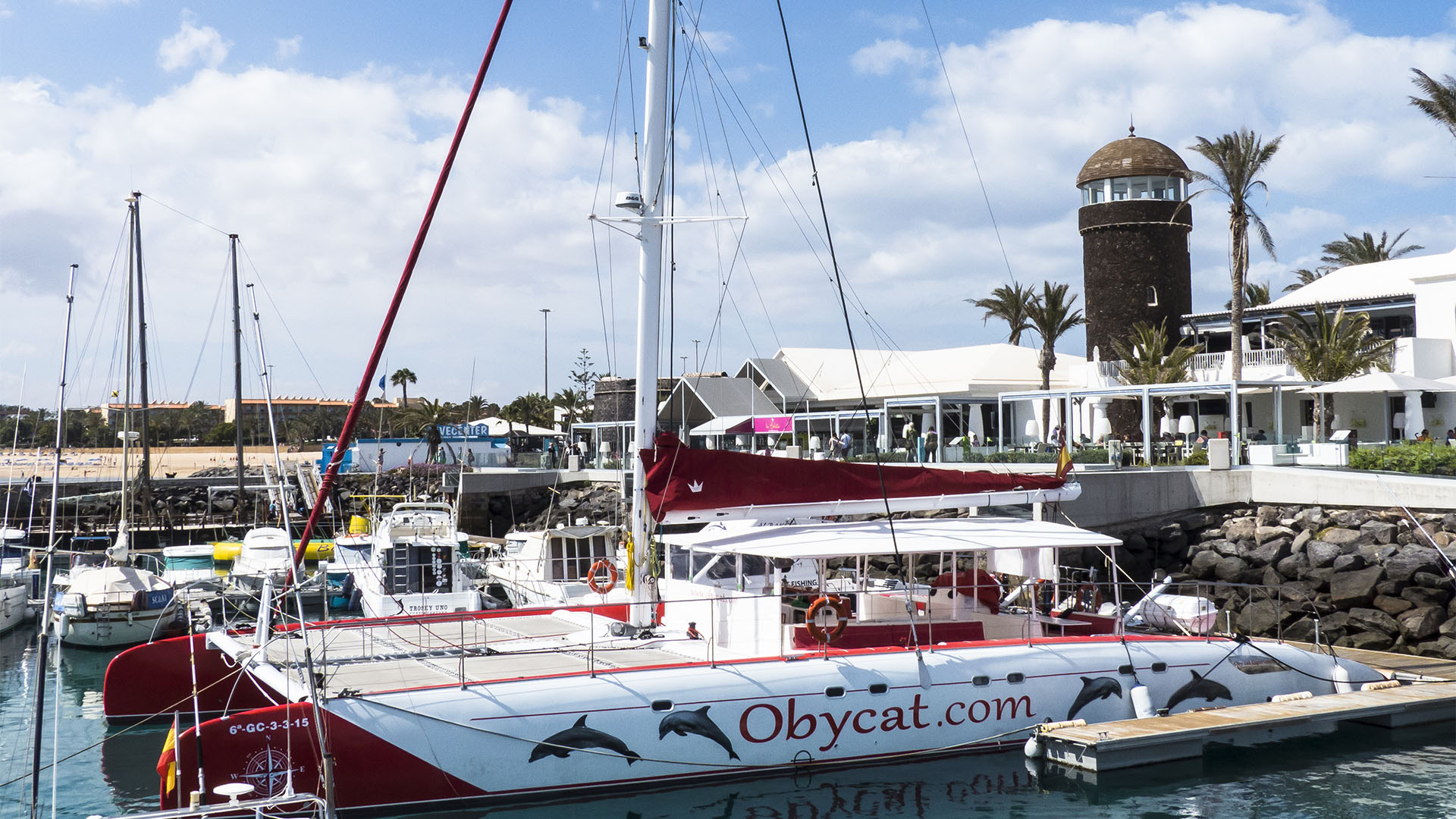 Bootsexkursionen auf Fuerteventura.