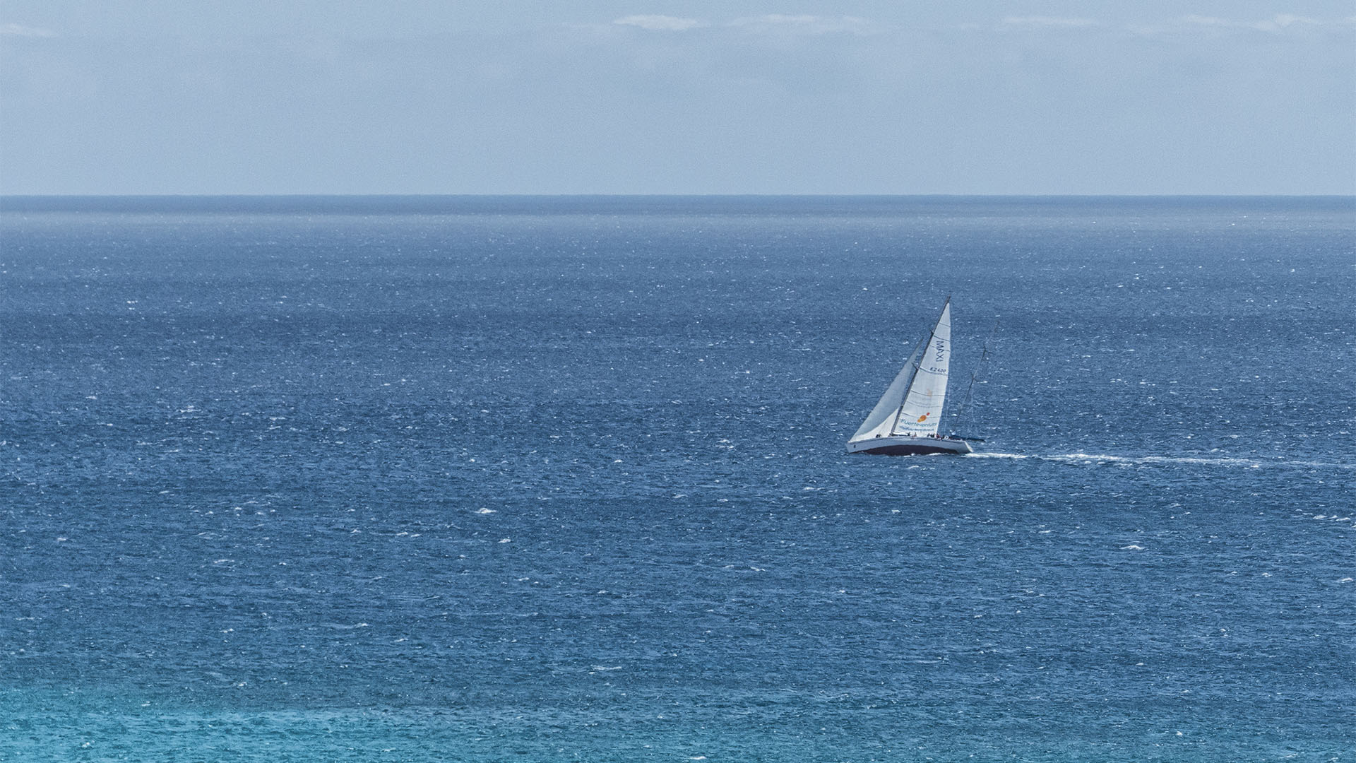 Bootsexkursionen auf Fuerteventura.