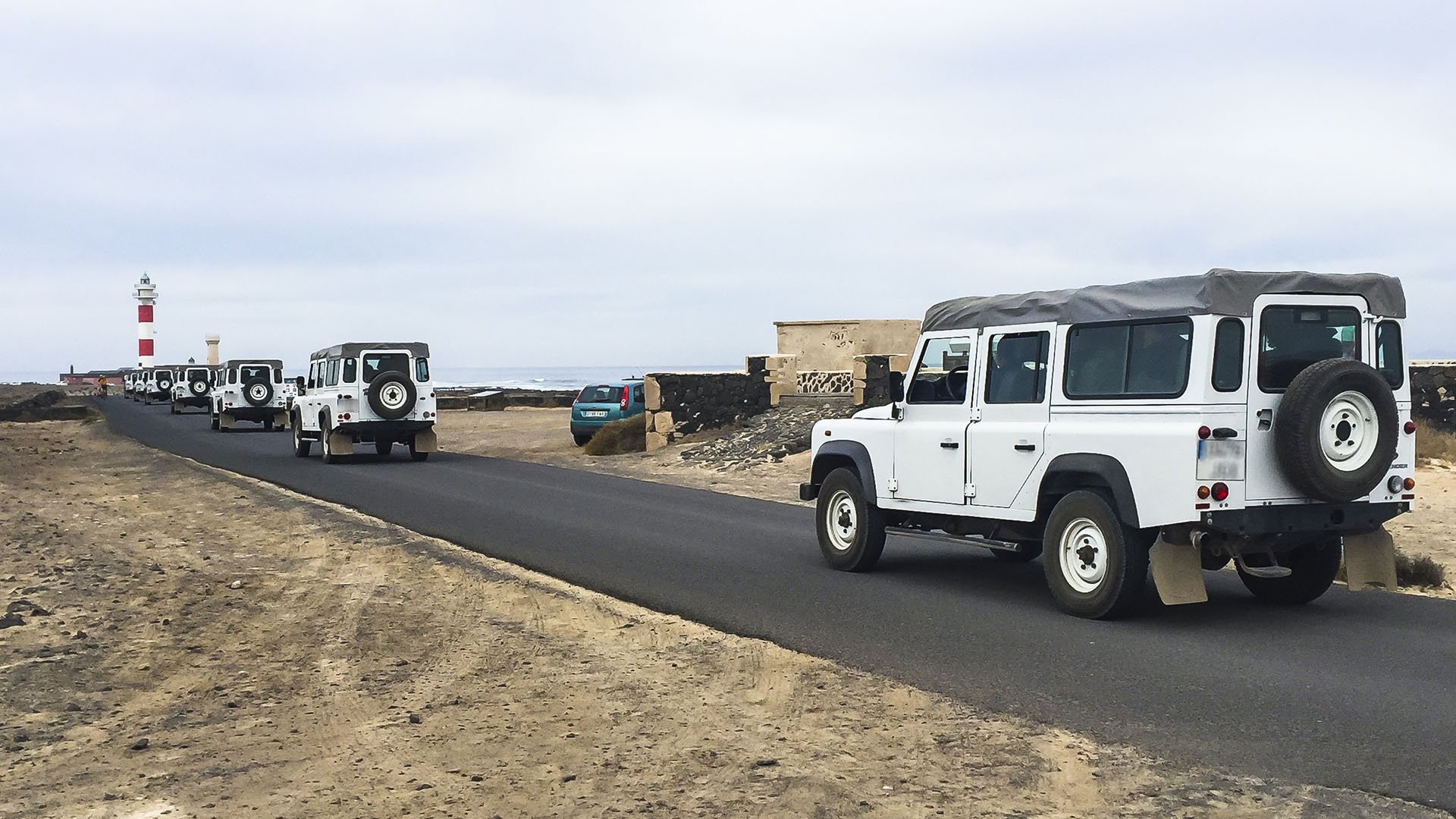 Geführte Exkursionen auf Fuerteventura.