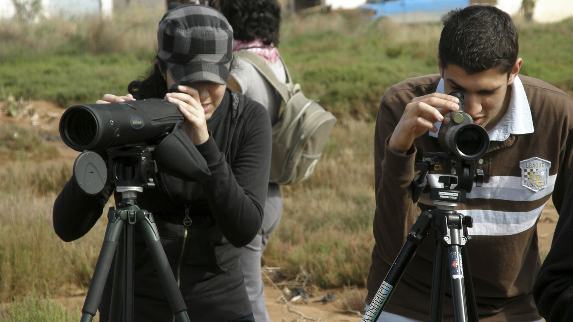 Aktivitäten Fuerteventura – ein Paradies für Birdwatcher - Birdwatching.