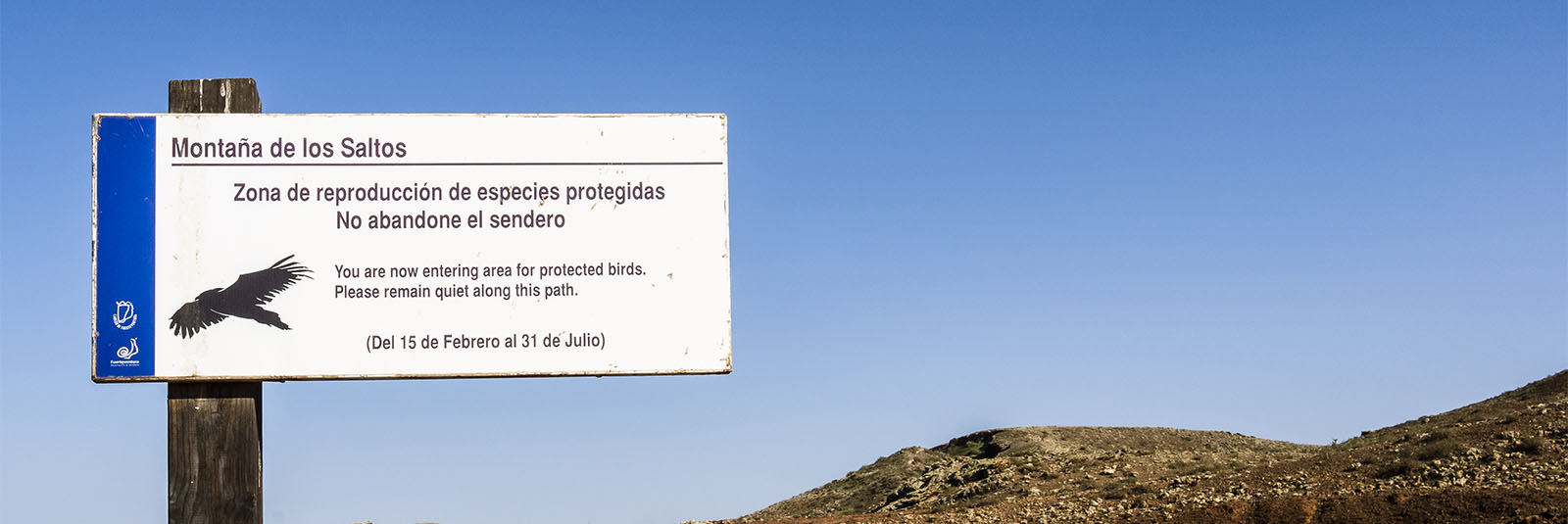 Aktivitäten Fuerteventura – ein Paradies für Birdwatcher - Birdwatching.