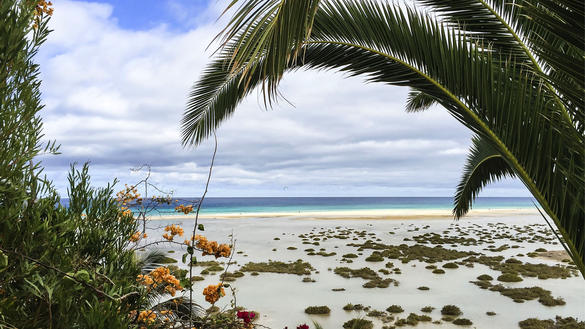 Fuerteventura Inselrundfahrt Südschleife – Costa Calma Ausgangspunkt.