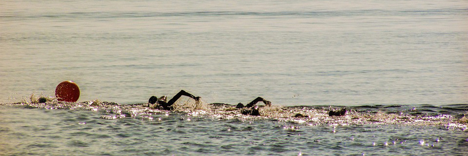 Fuerteventura Events Sportveranstaltungen: Traversia internacional la bocaina – von Lanzarote nach Fuerteventura schwimmen.