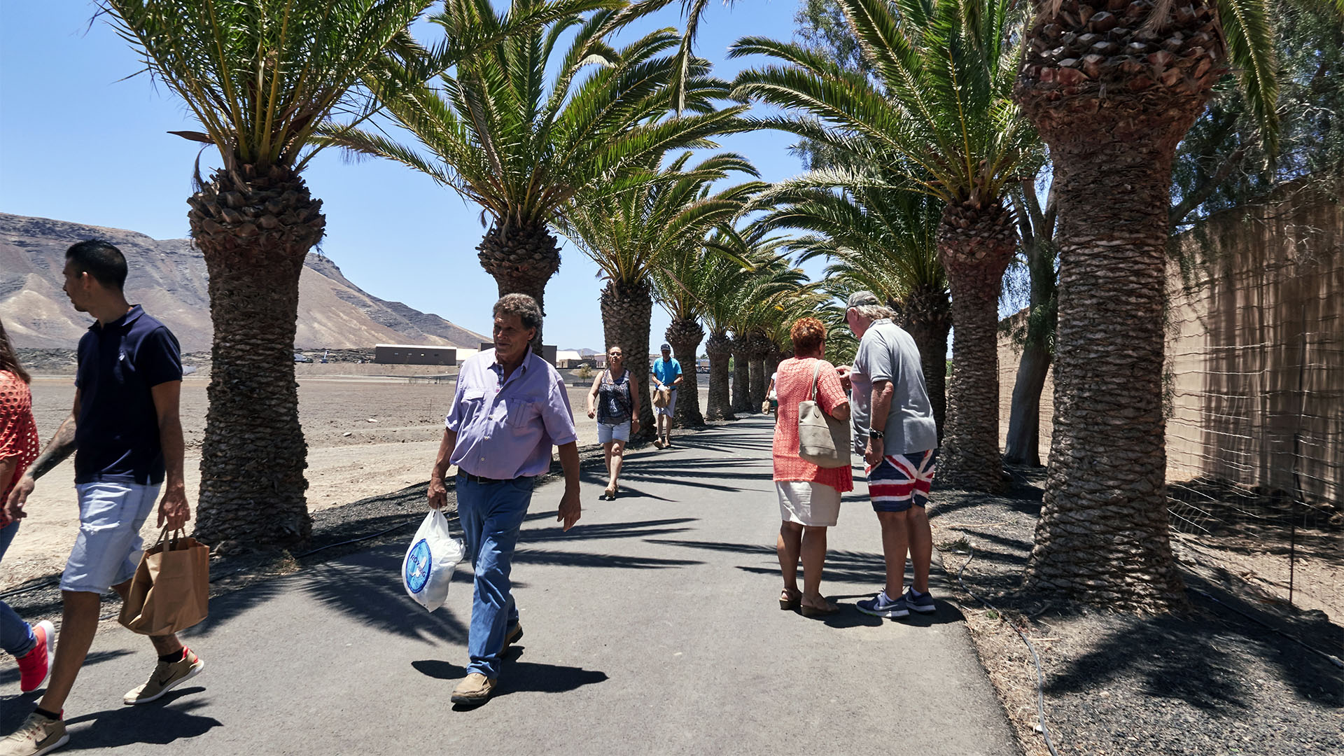 FEAGA – La Feria Agrícola, Ganadera y Pesquera de Fuerteventura Pozo Negro.