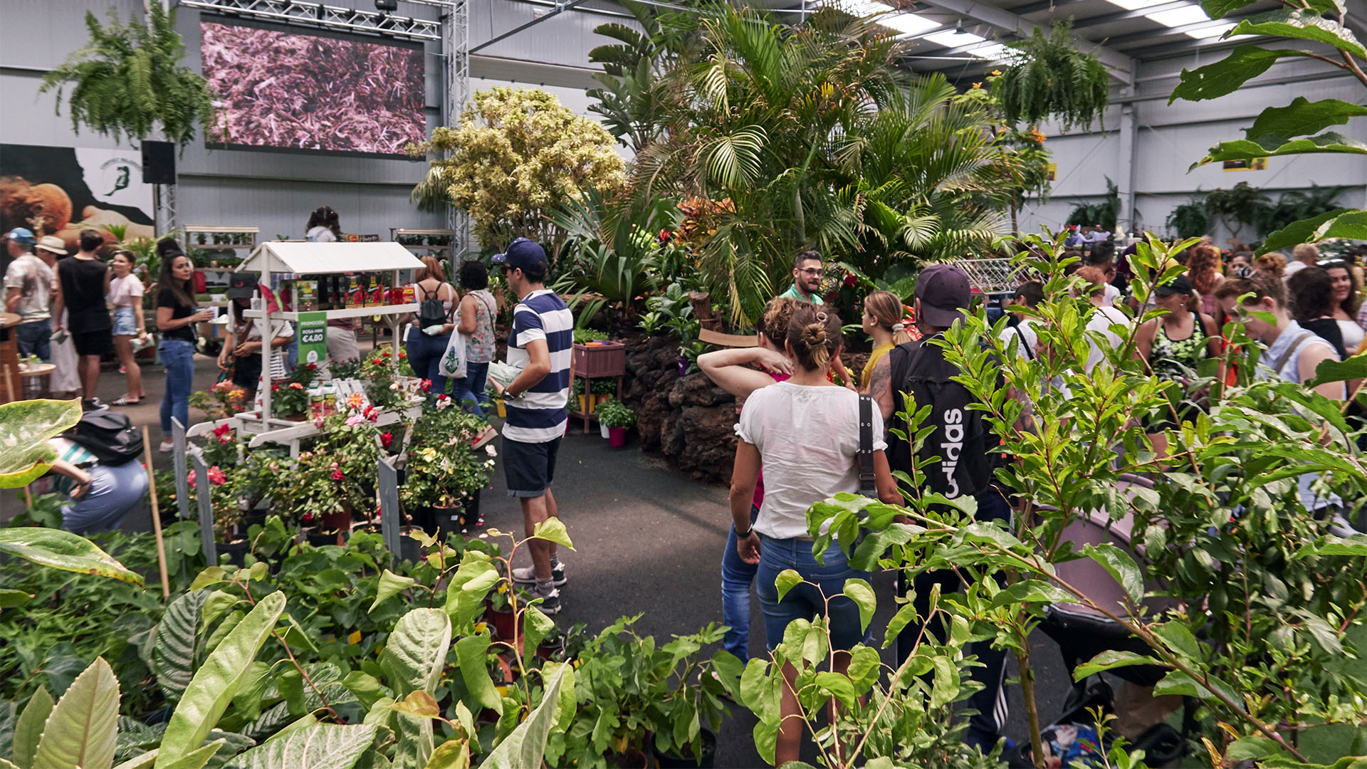 FEAGA – La Feria Agrícola, Ganadera y Pesquera de Fuerteventura Pozo Negro.