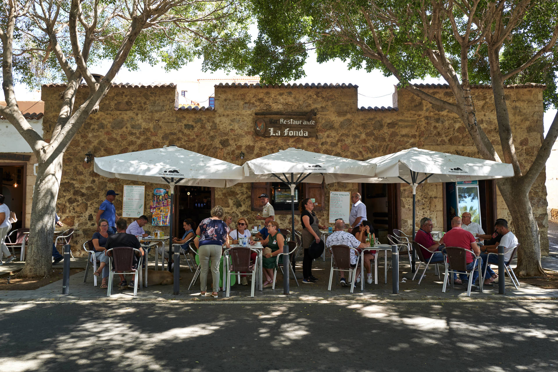 Pájara Fuerteventura – Feria del Queso.