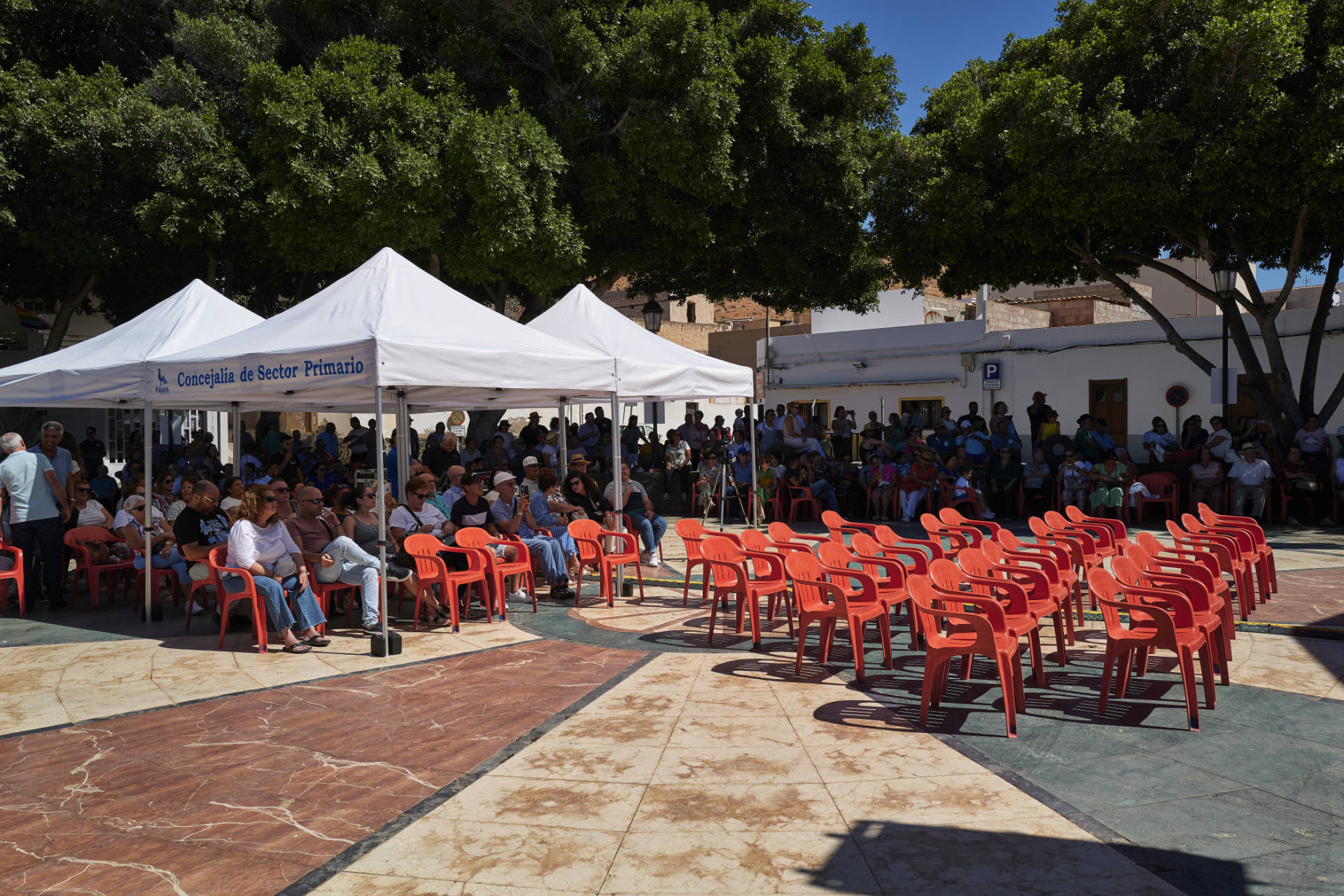 Pájara Fuerteventura – Feria del Queso.