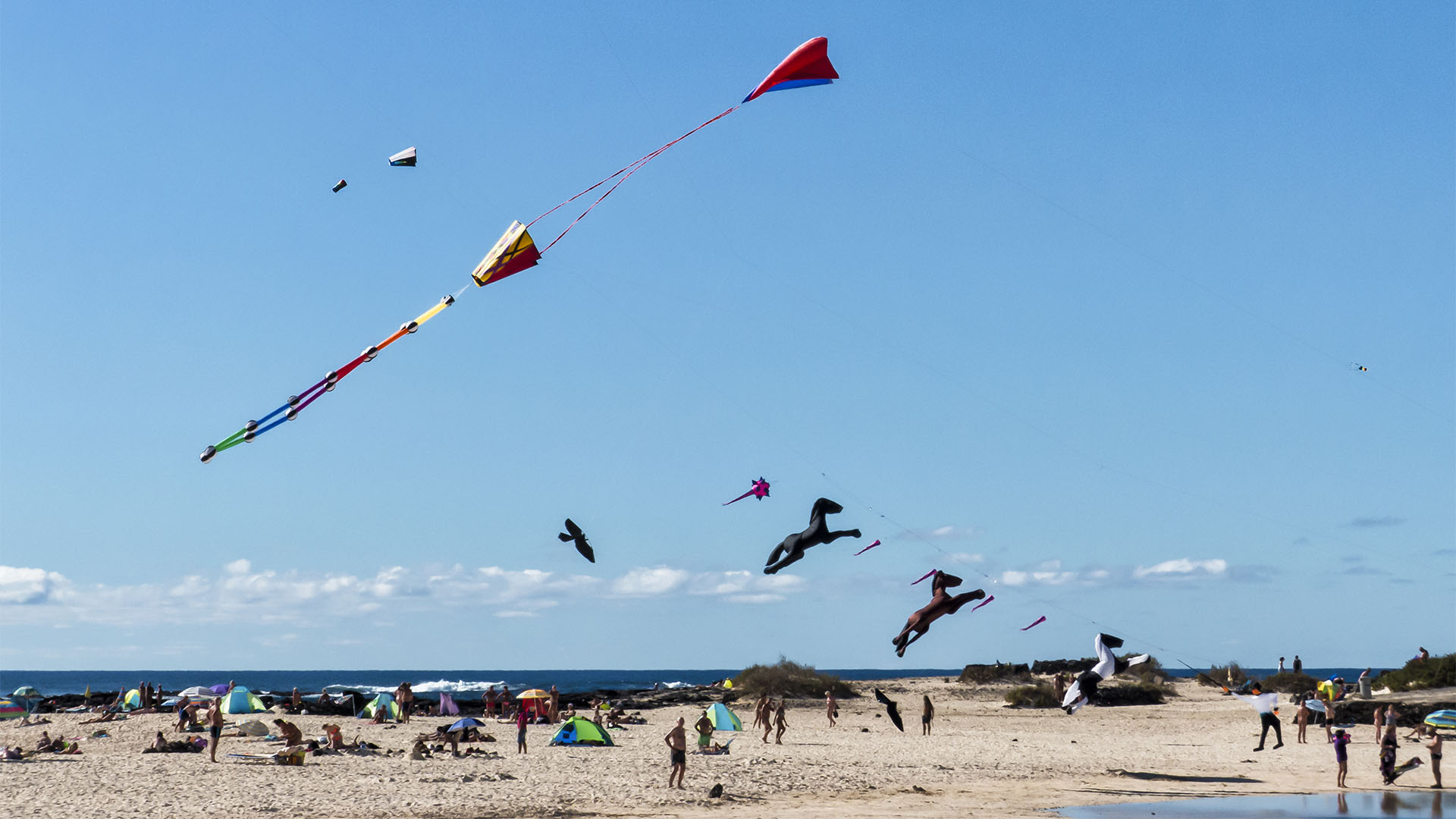 Kunst Kulturveranstaltungen Fuerteventura: Internationales Kite Festival Fuerteventura.