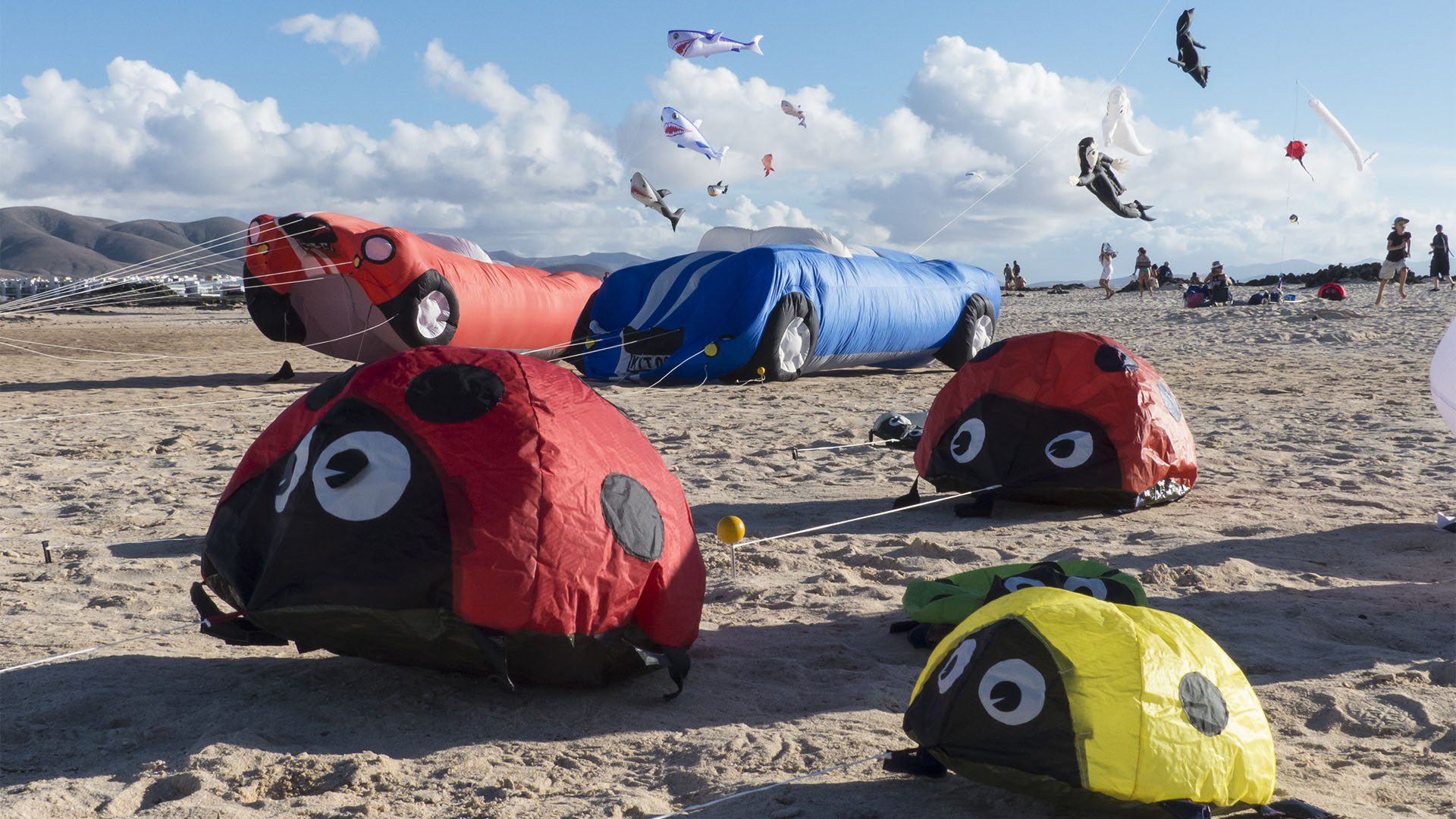 Kunst Kulturveranstaltungen Fuerteventura: Internationales Kite Festival Fuerteventura.