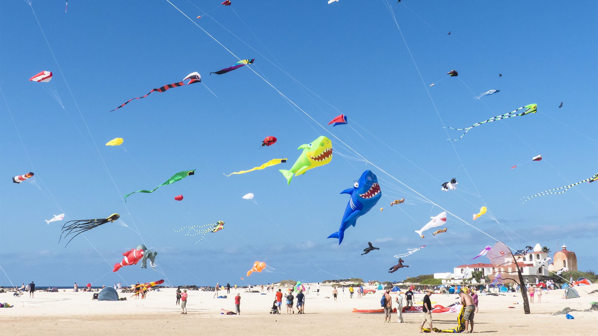 Kunst Kulturveranstaltungen Fuerteventura: Internationales Kite Festival Fuerteventura.