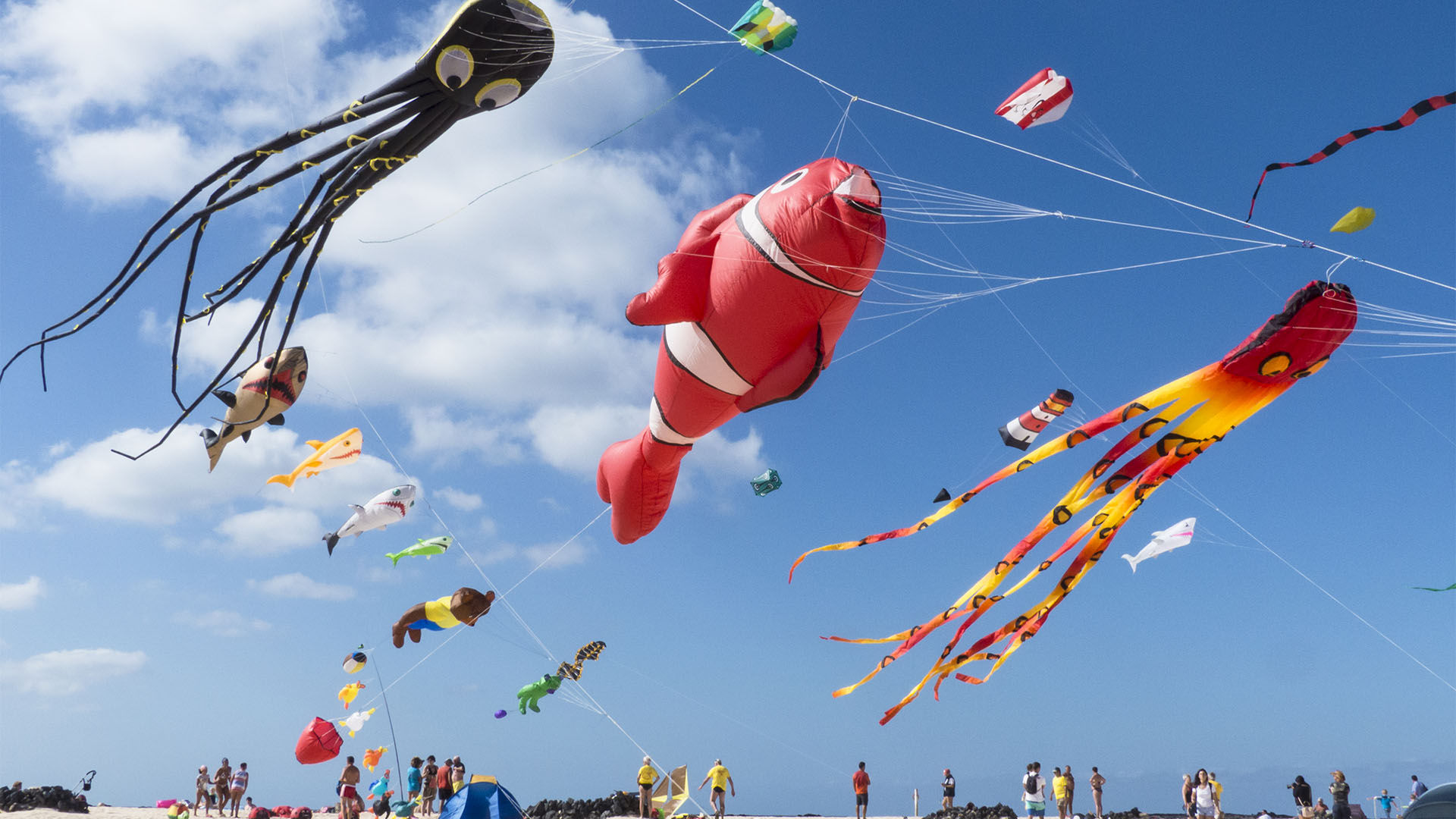 Kunst Kulturveranstaltungen Fuerteventura: Internationales Kite Festival Fuerteventura.