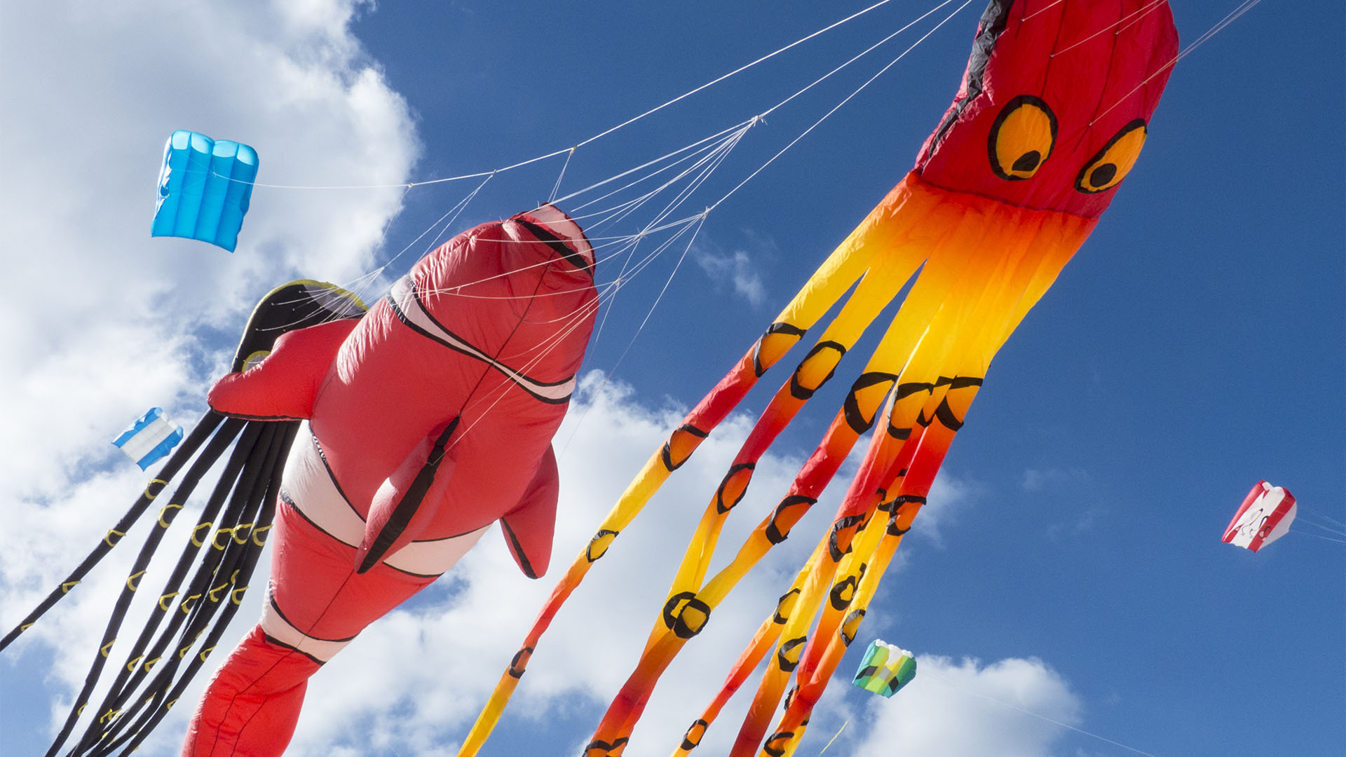 Kunst Kulturveranstaltungen Fuerteventura: Internationales Kite Festival Fuerteventura.