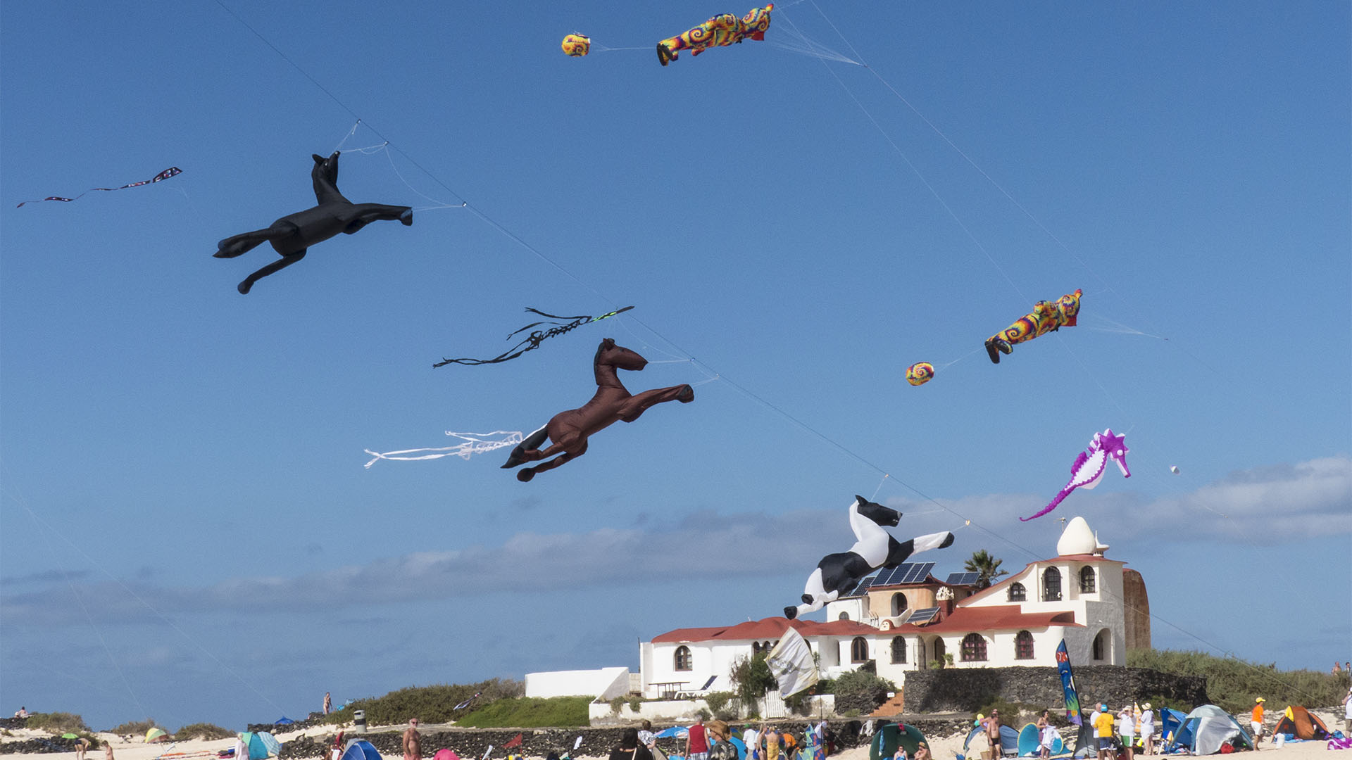 Kunst Kulturveranstaltungen Fuerteventura: Internationales Kite Festival Fuerteventura.