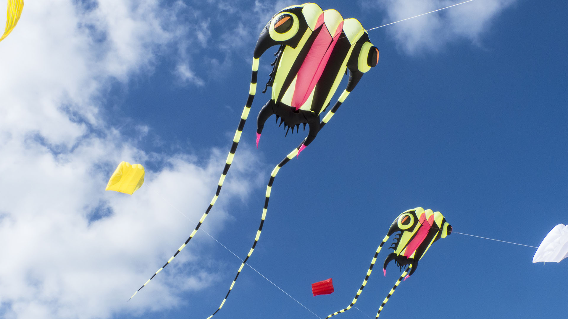 Kunst Kulturveranstaltungen Fuerteventura: Internationales Kite Festival Fuerteventura.