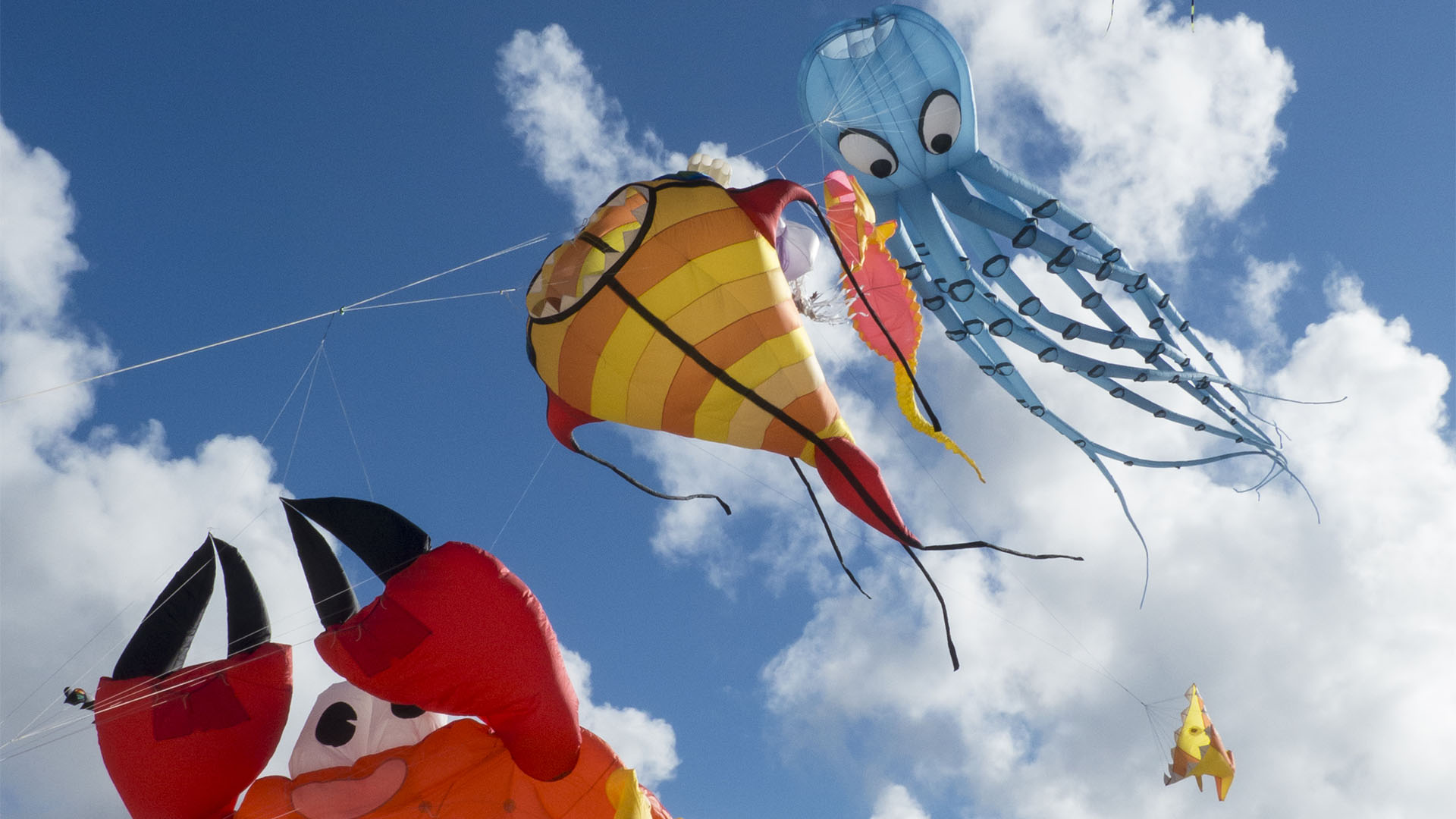 Kunst Kulturveranstaltungen Fuerteventura: Internationales Kite Festival Fuerteventura.