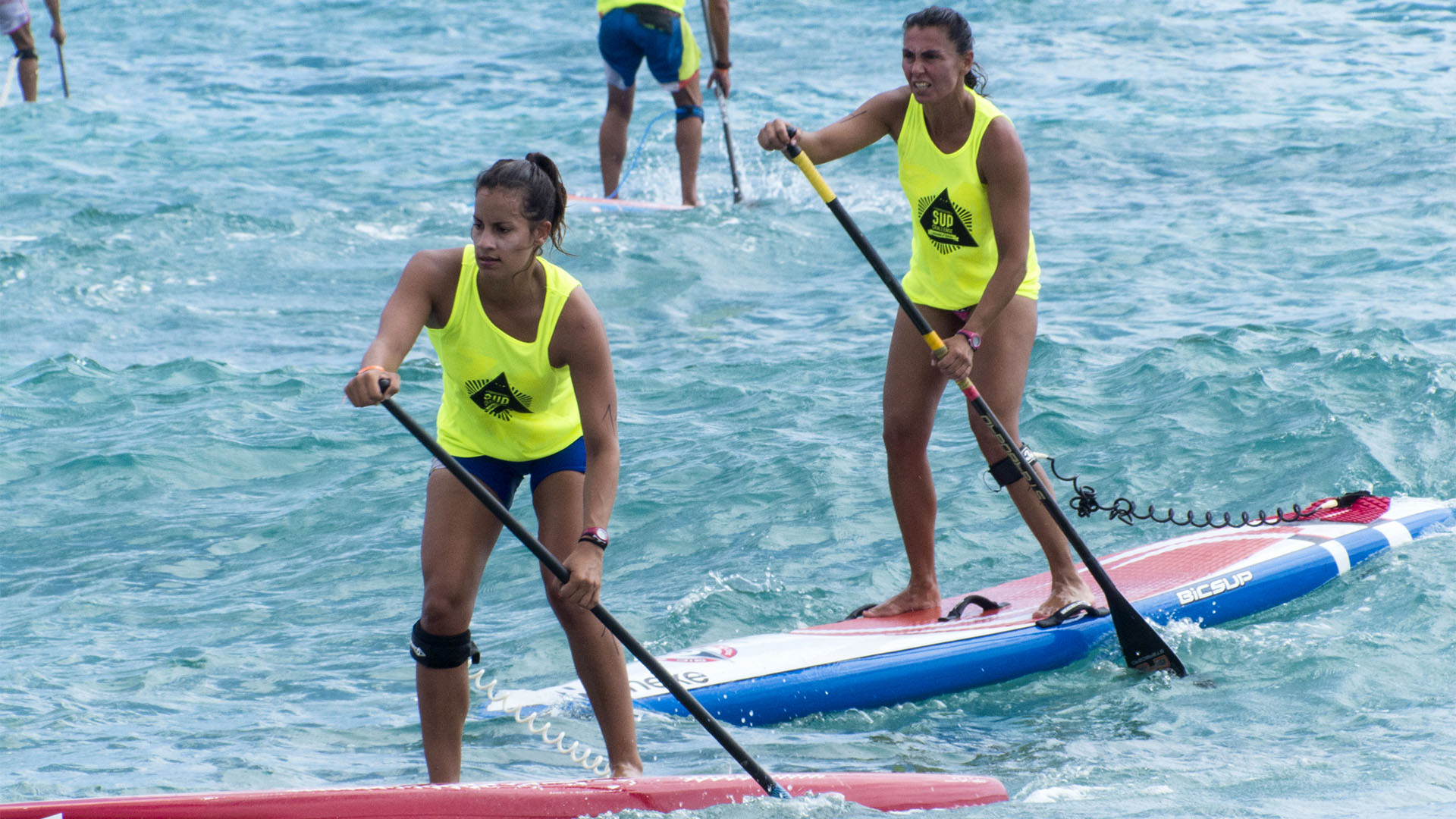 SUP Stand up Paddle auf Fuerteventura – das Hawaii Europas.