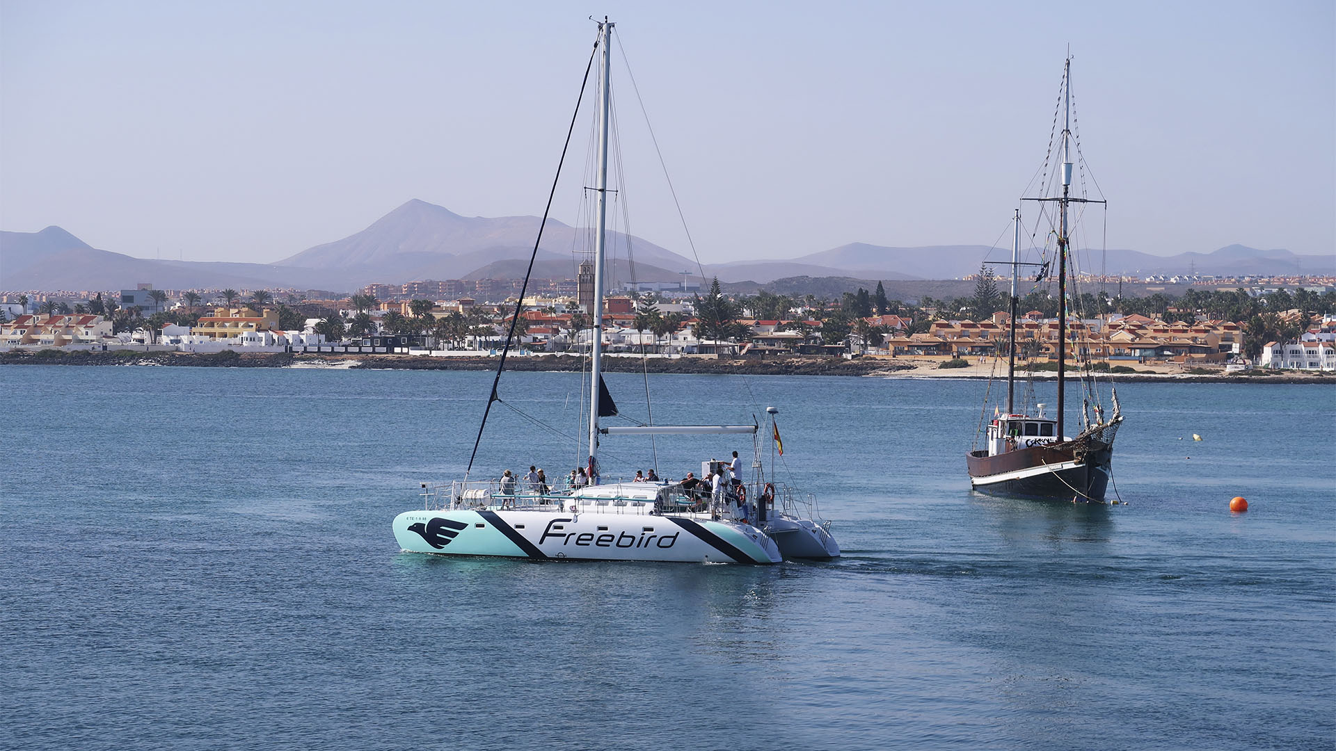 Bootsexkursionen Fuerteventura.