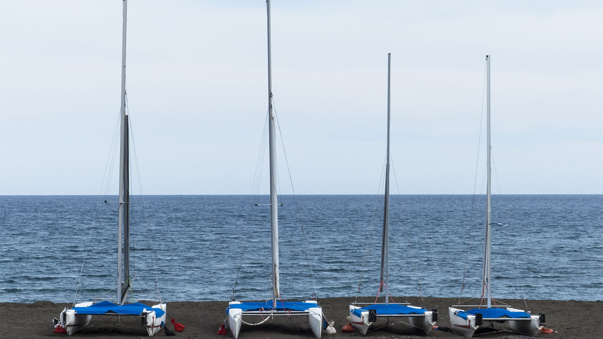 Segeln auf Fuerteventura.