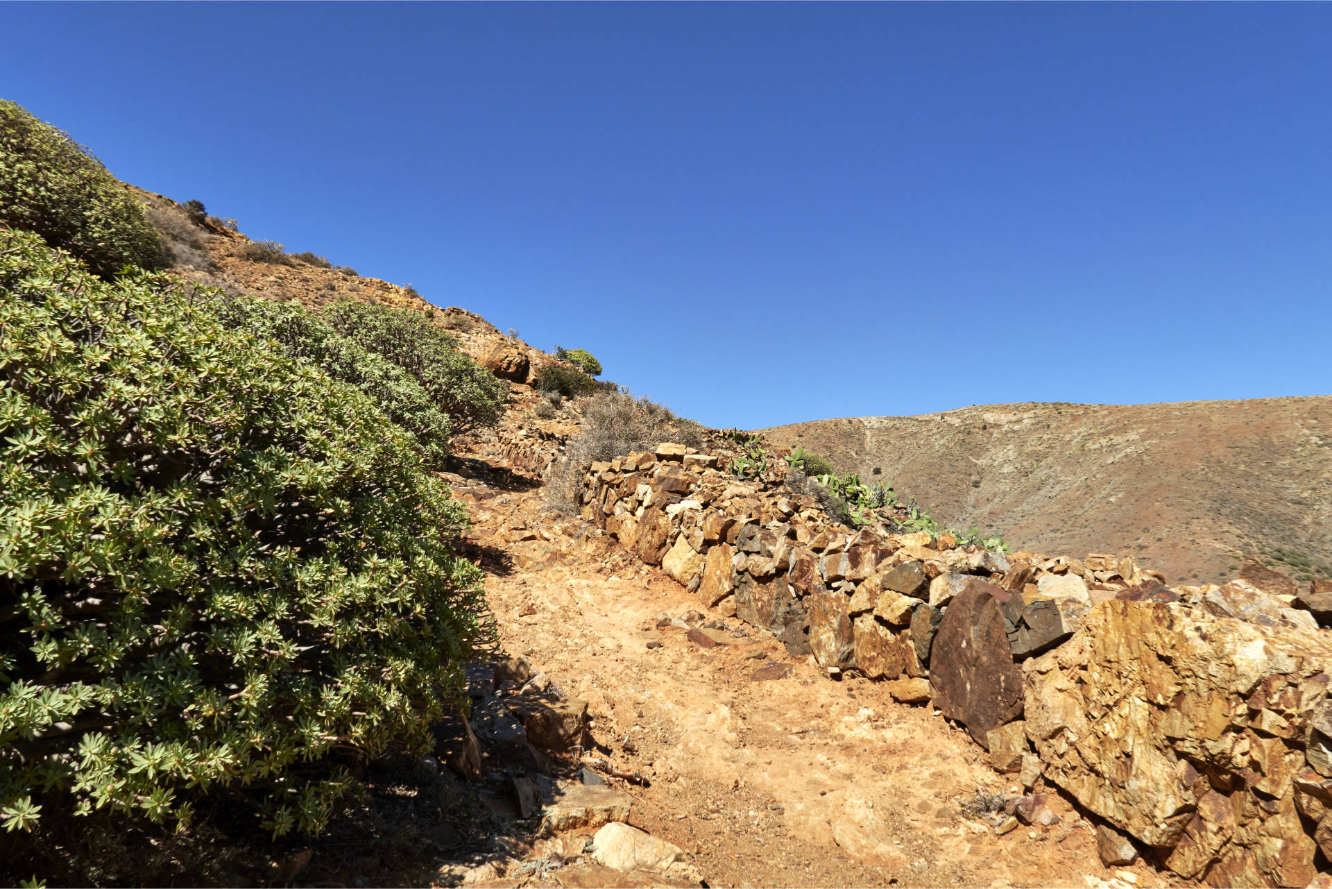 Trailrunning Fuerteventura.