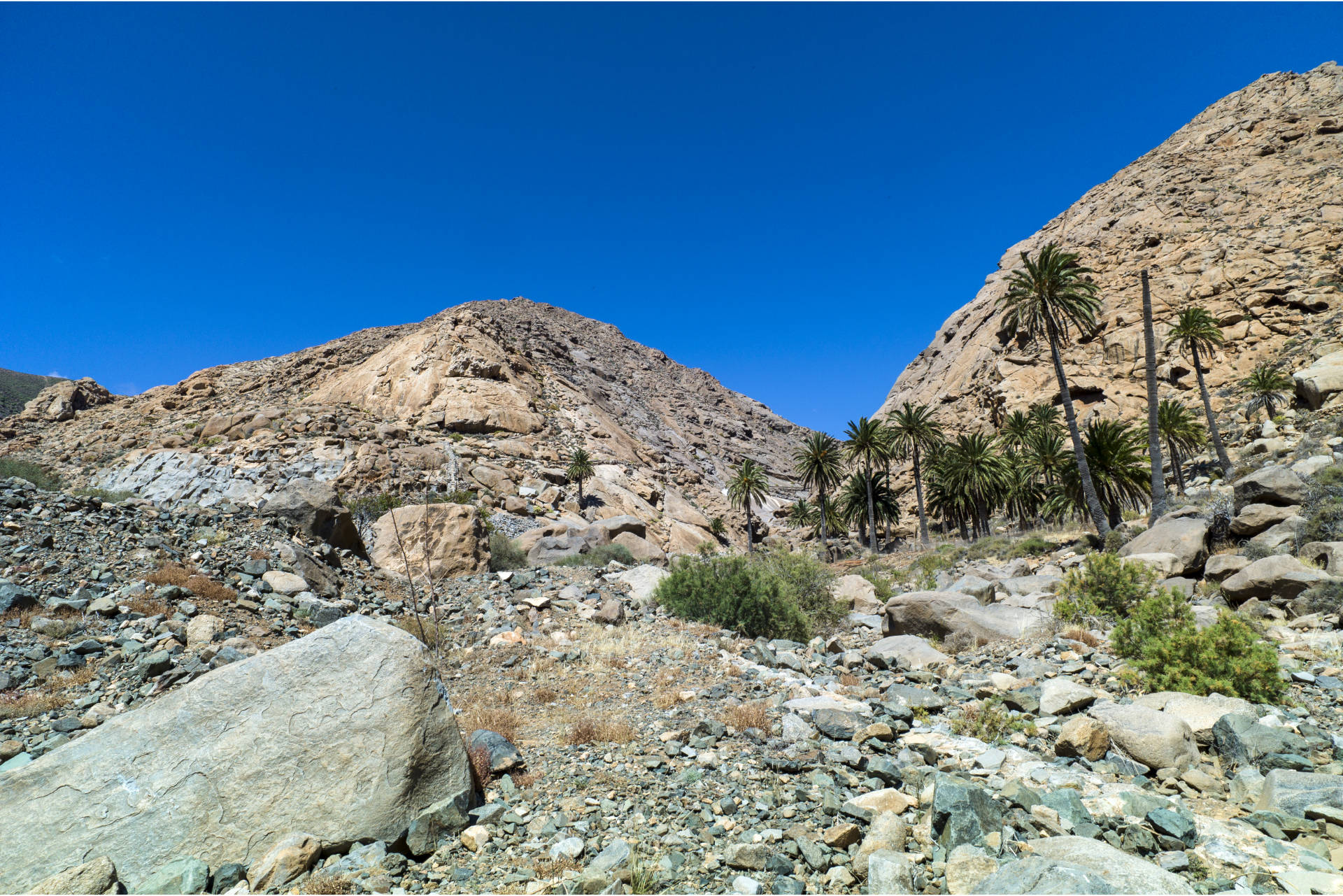 Trailrunning Fuerteventura.