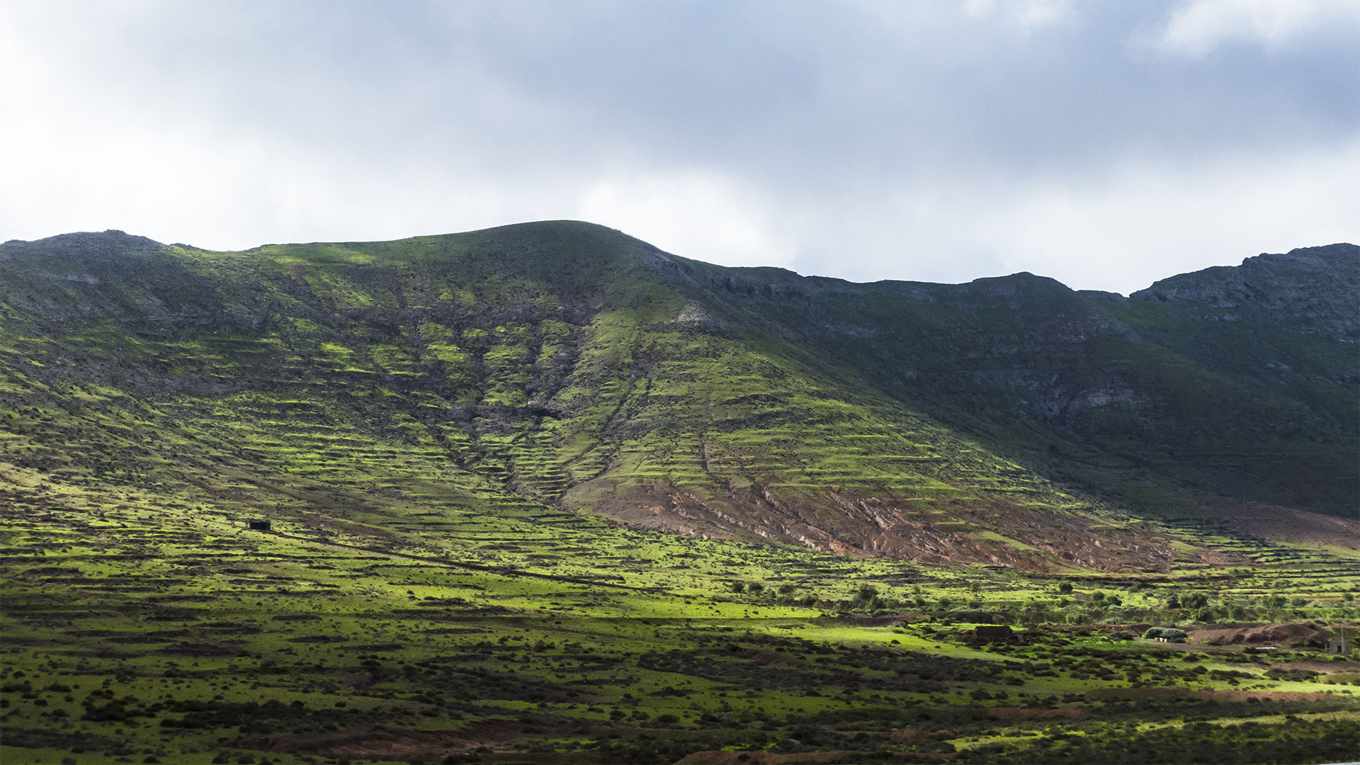 Erstaunlich grün – das Valle de Tetir Fuerteventura nach heftigem Winterregen.