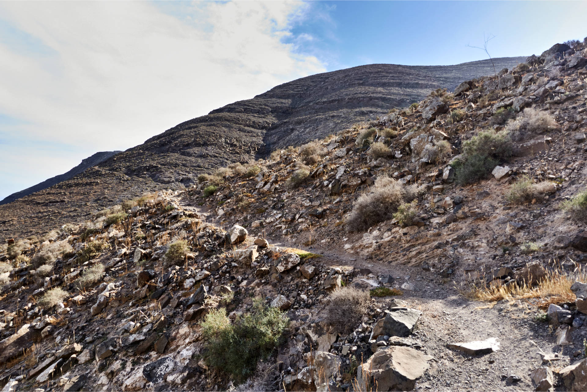 Der Wanderweg hinunter nach Tefía.