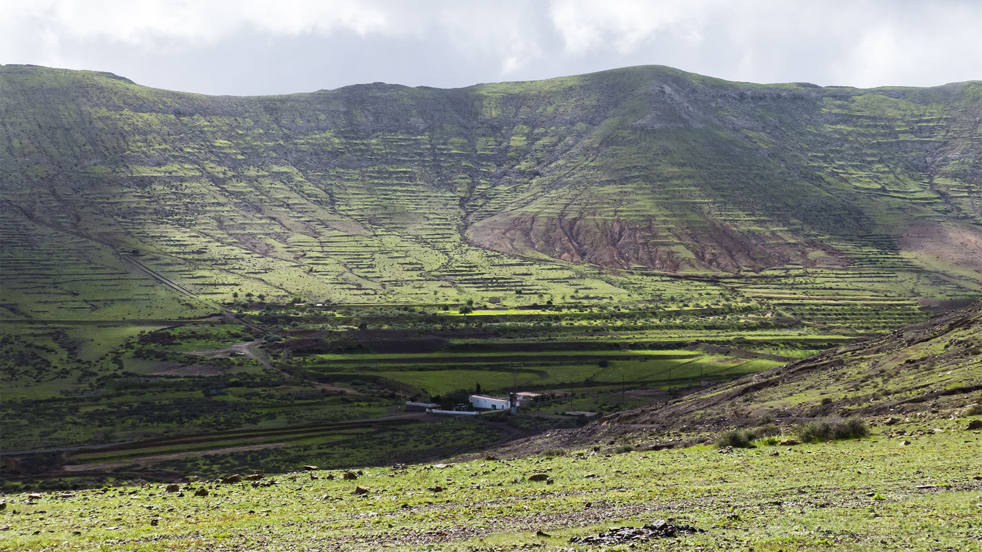 Wandern + Trekking auf Fuerteventura: Durch das Valle de Tetir nach Tefía.