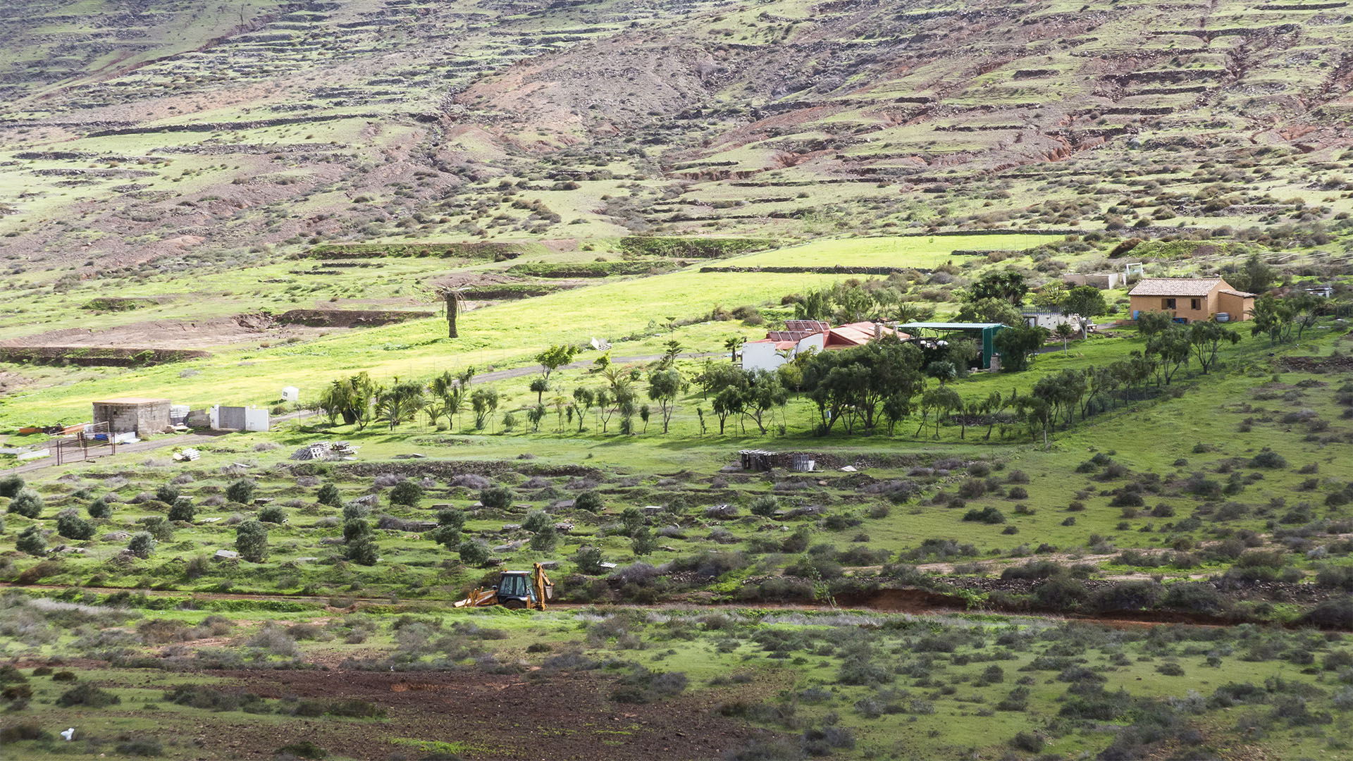 Wandern + Trekking auf Fuerteventura: Durch das Valle de Tetir nach Tefía.