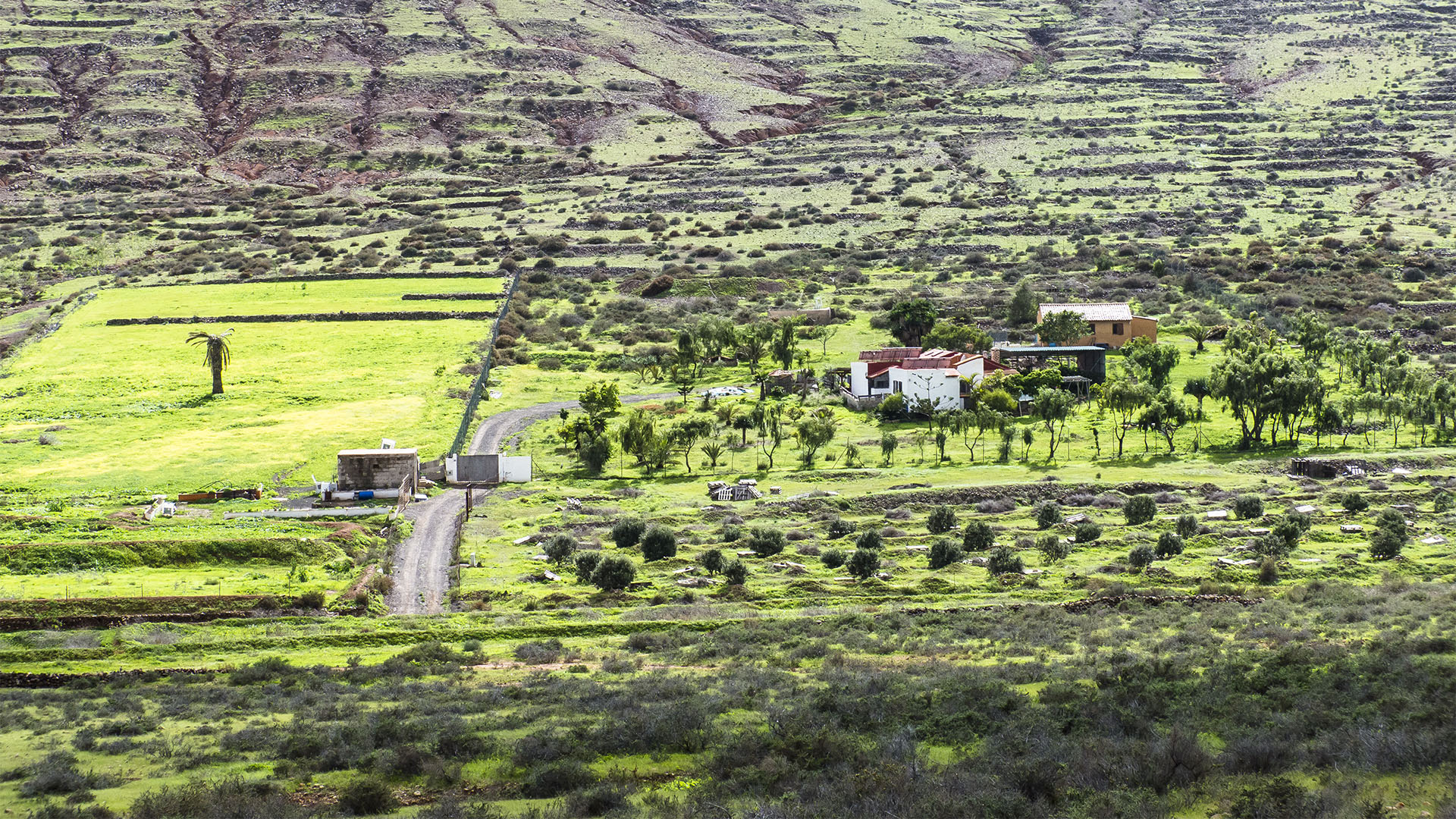 Wandern + Trekking auf Fuerteventura: Durch das Valle de Tetir nach Tefía.