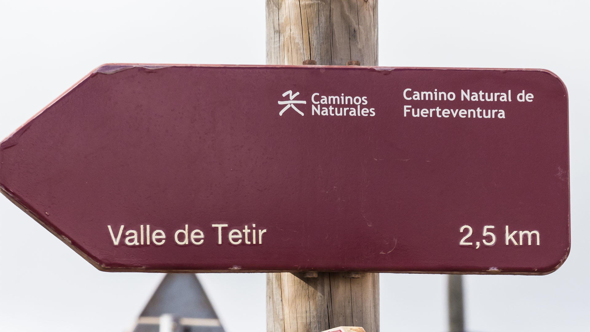 Wandern + Trekking auf Fuerteventura: Durch das Valle de Tetir nach Tefía.