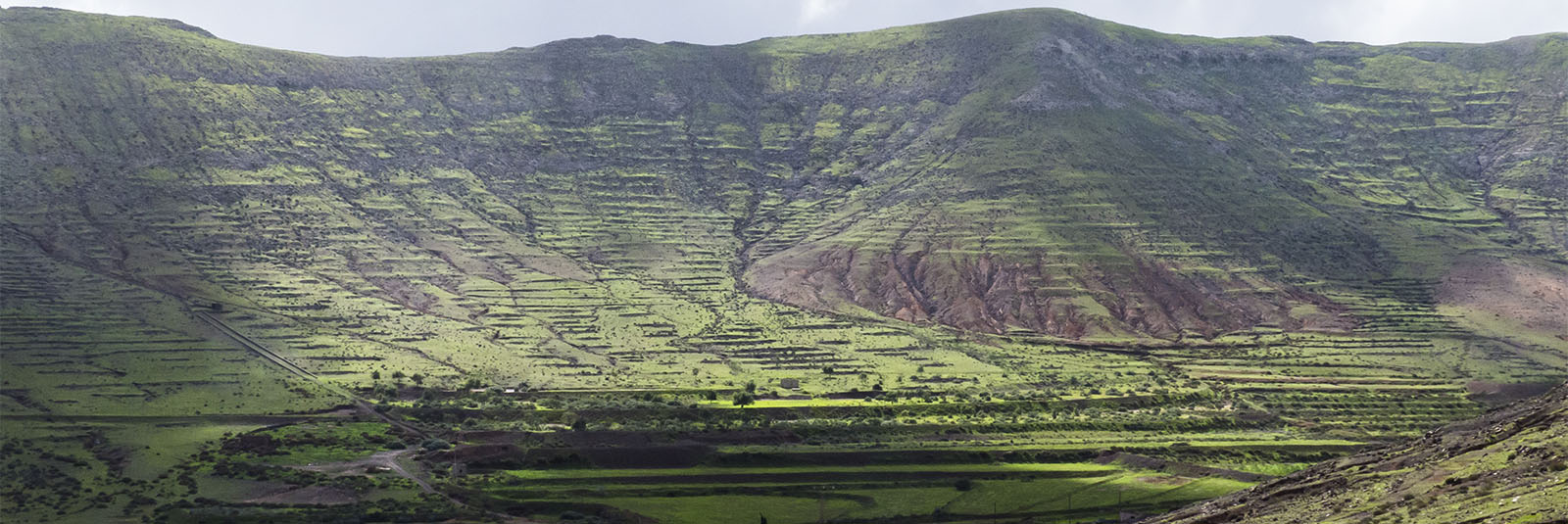 Wandern + Trekking auf Fuerteventura: Durch das Valle de Tetir nach Tefía.