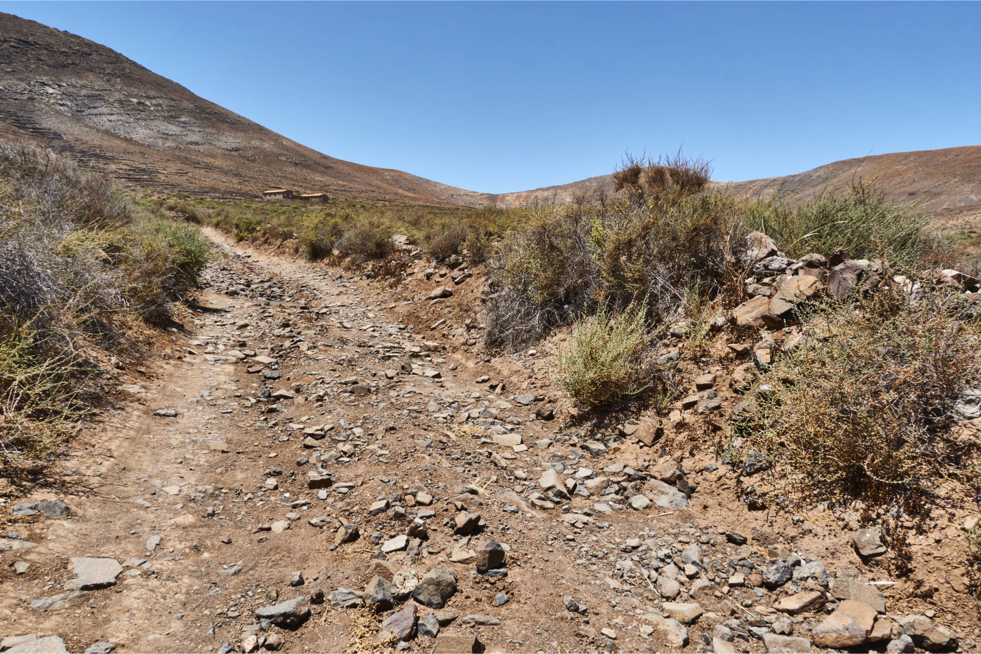 Wandern Fuerteventura – durch das Valle de Tetir auf den Morro de Cagadas Blandas (525m).