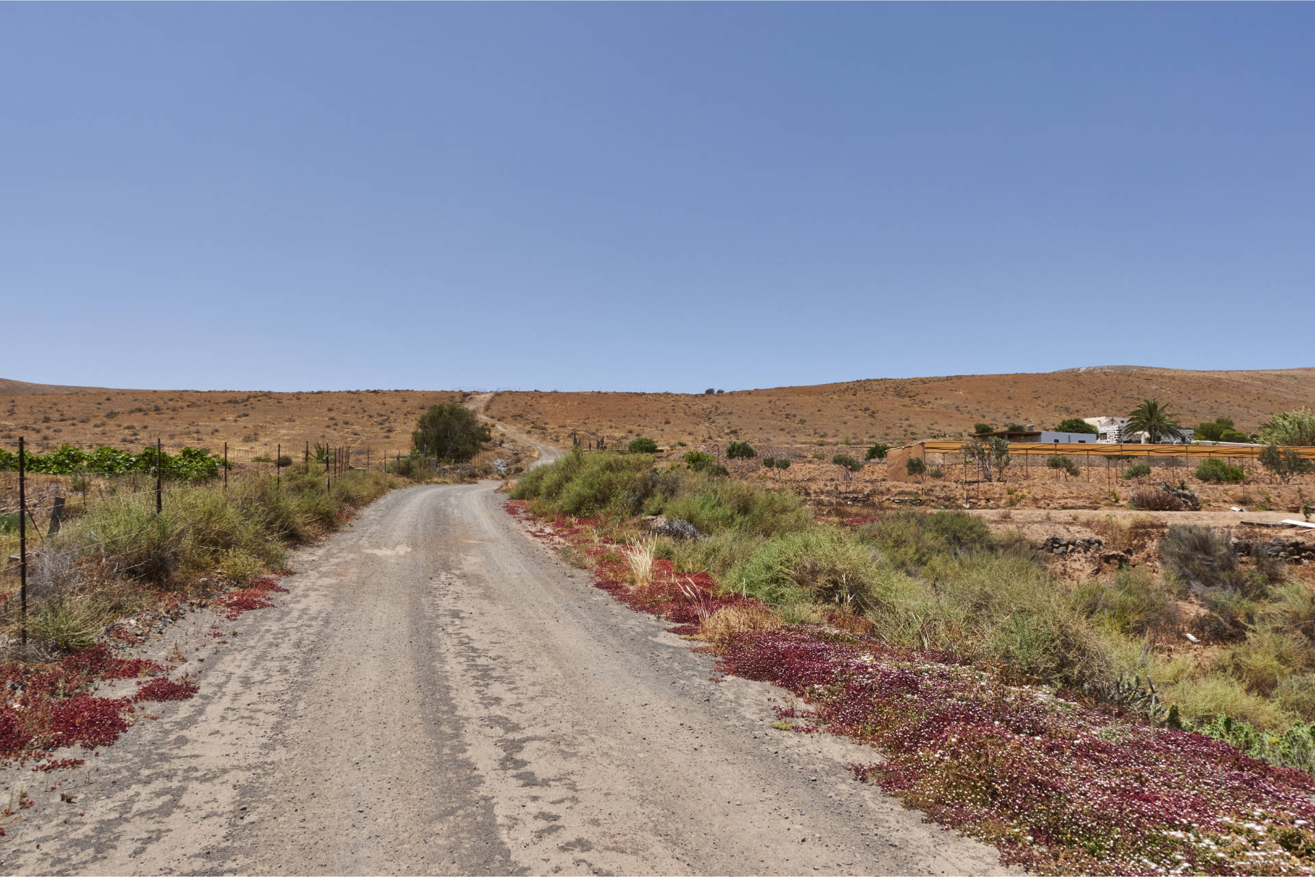 Wandern: Montaña Martínez Tetir Fuerteventura.