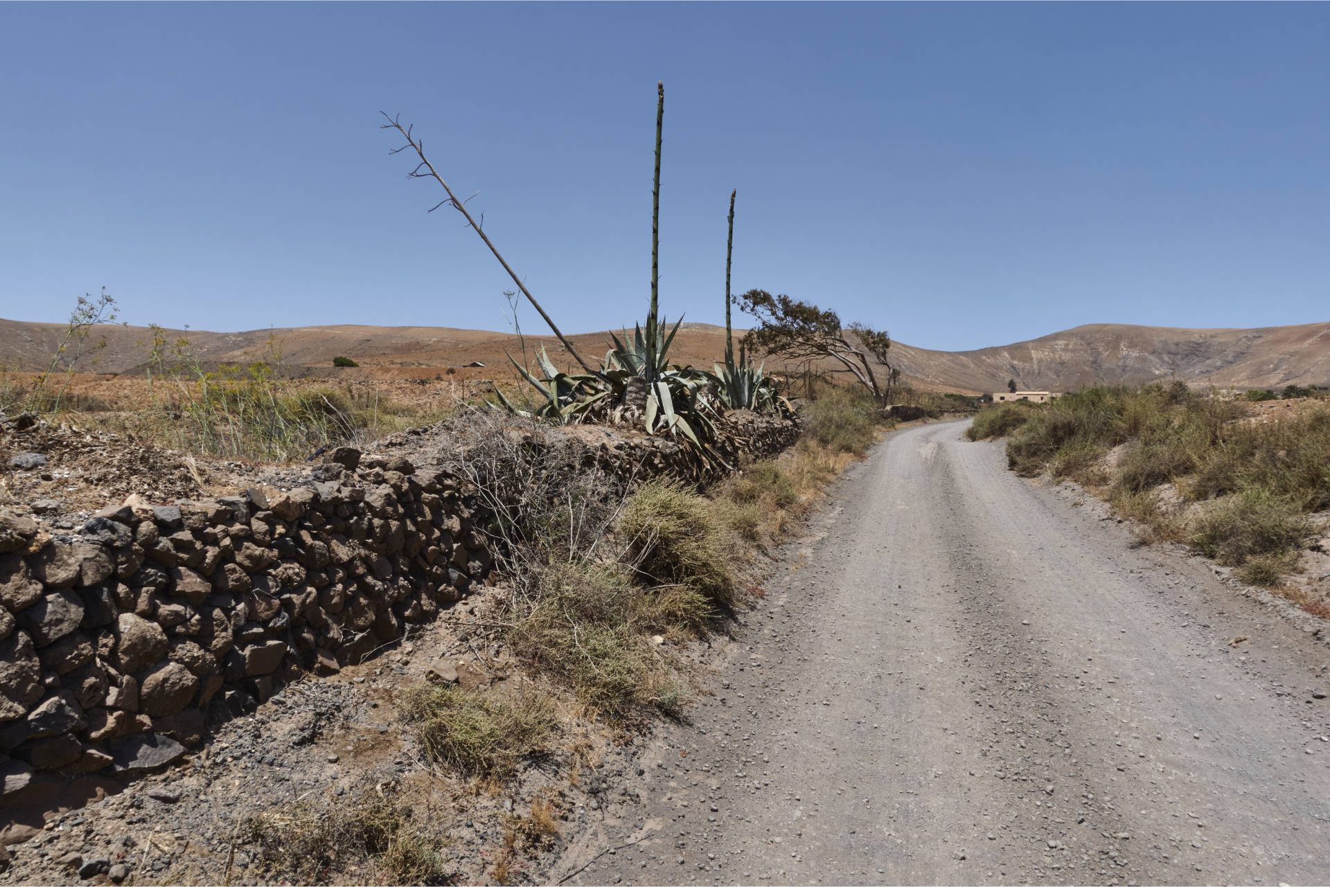 Wandern: Montaña Martínez Tetir Fuerteventura.