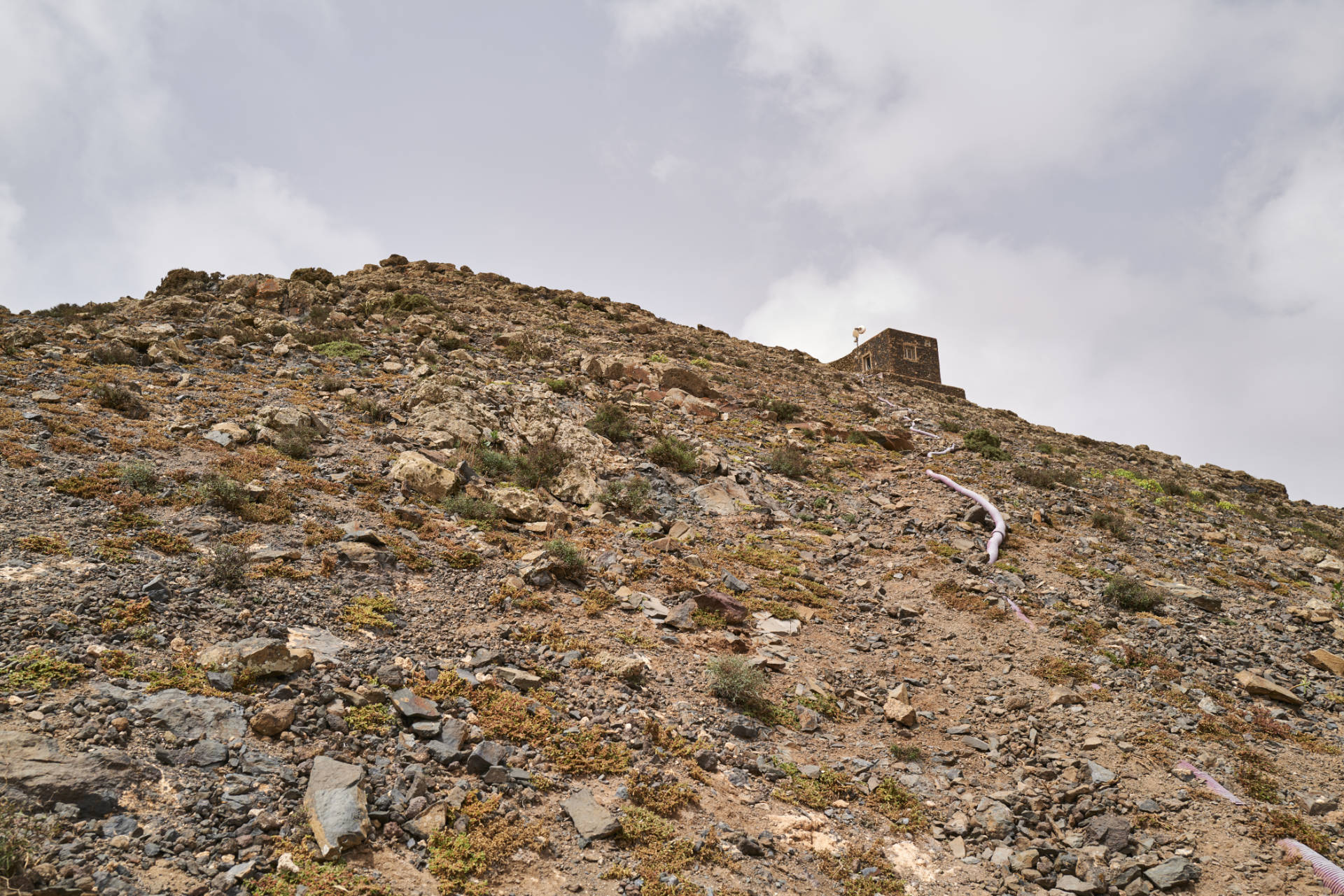 Die letzten Höhenmeter über die südöstliche Gipfelflanke des Montaña de la Muda (691m) auf den Gipfel.