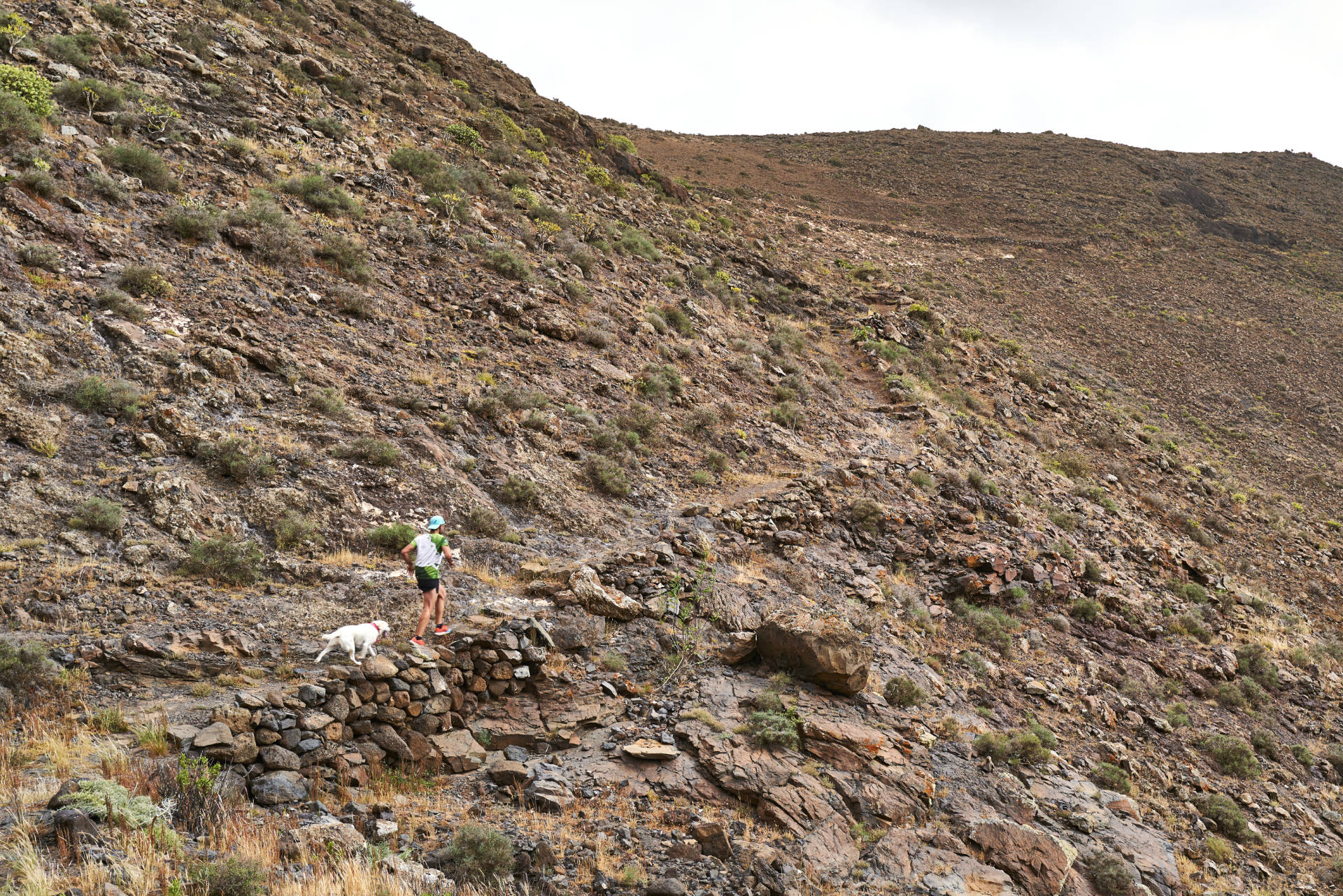 Rund um den Montaña de la Muda (691m) – ein Paradies für Trailrunner.