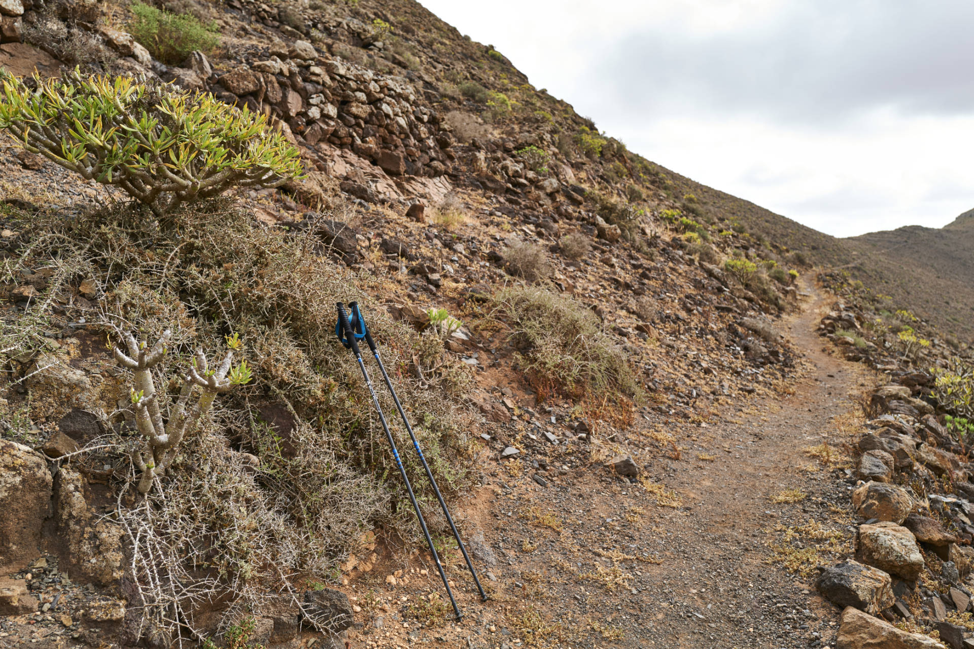 Der Pass Degollada el Renegado (519m) in Sichtweite.