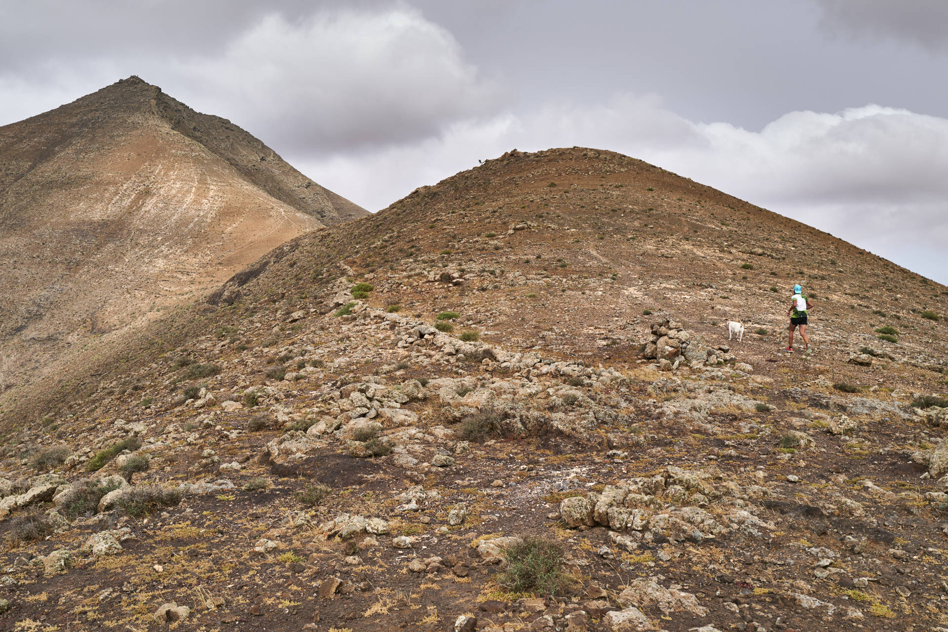 Trailrunner am Pass Degollada el Renegado (519m).