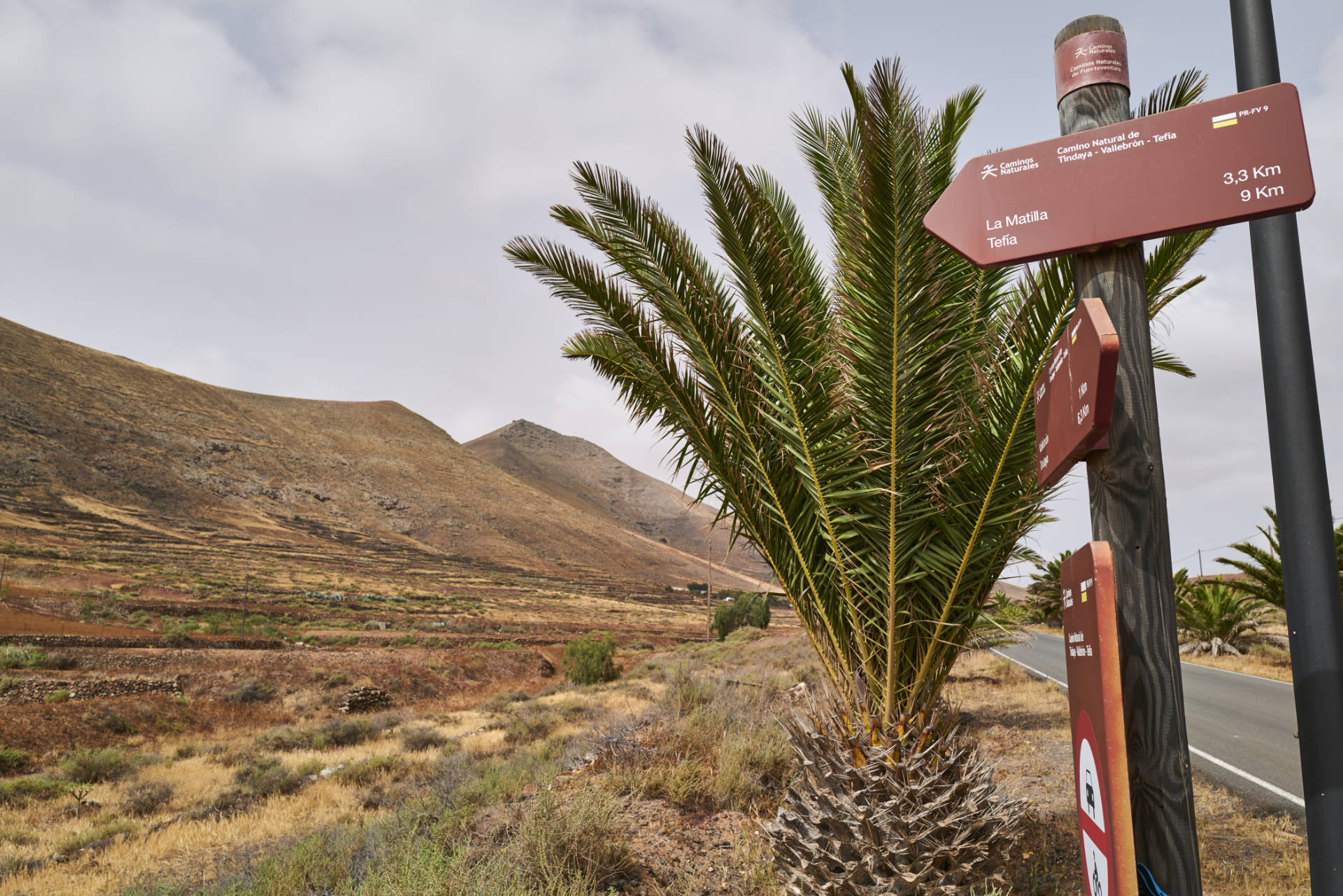 Verbindungsetappe auf der FV-103 zum, Mirador de Vallebrón y Fuente la Palma (360m).