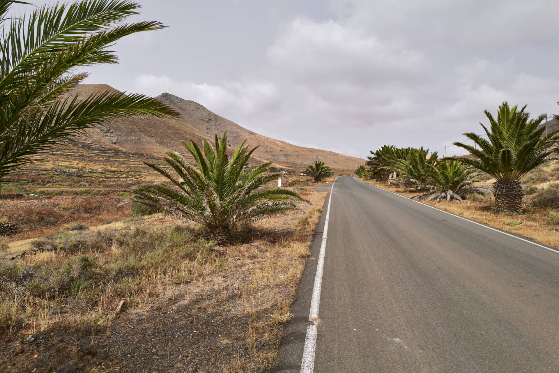 Verbindungsetappe auf der FV-103 zum  Mirador de Vallebrón y Fuente la Palma (360m).