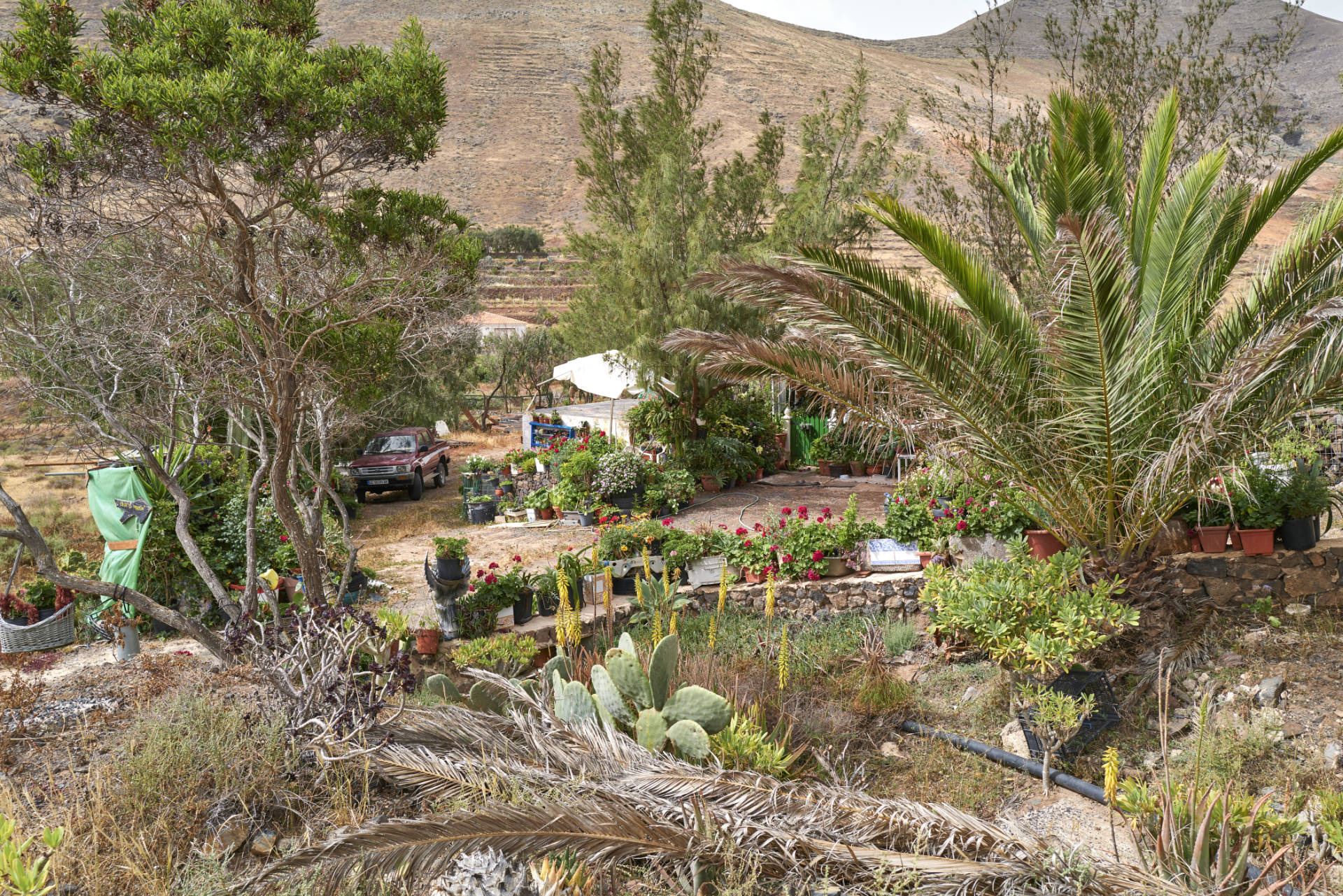 Verbindungsetappe auf der FV-103 zum  Mirador de Vallebrón y Fuente la Palma (360m).