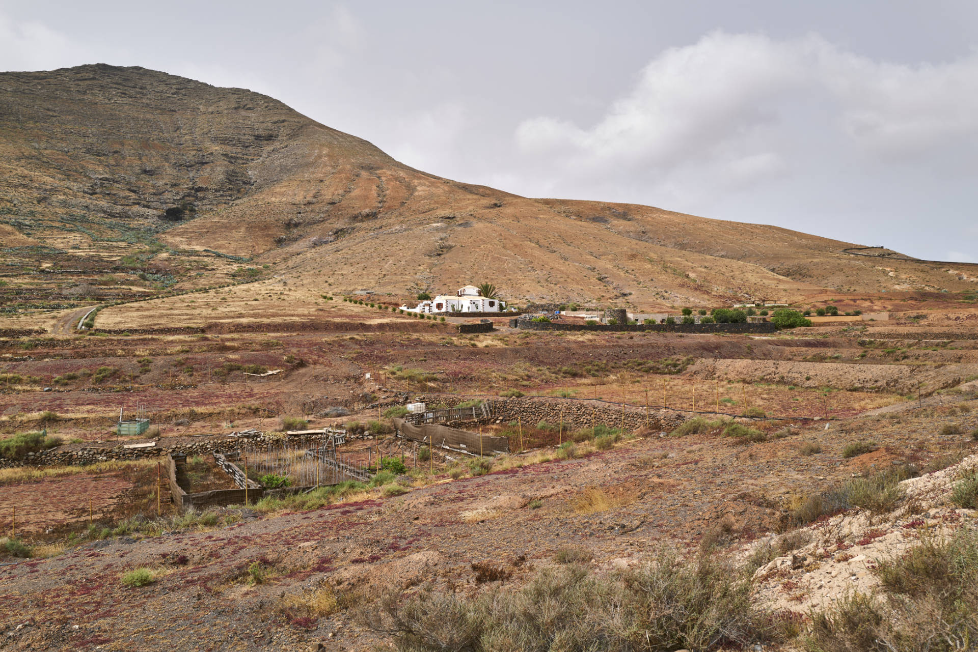 Verbindungsetappe auf der FV-103 zum  Mirador de Vallebrón y Fuente la Palma (360m).