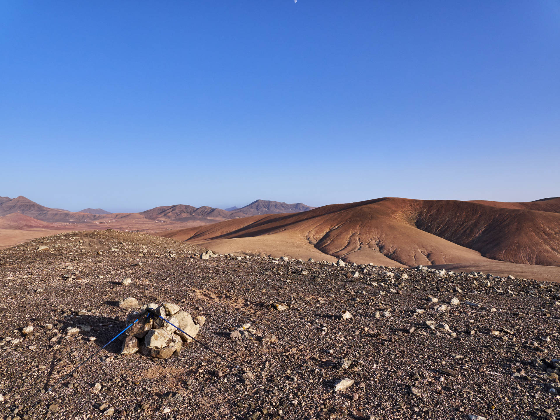 Sunny Fuerte
