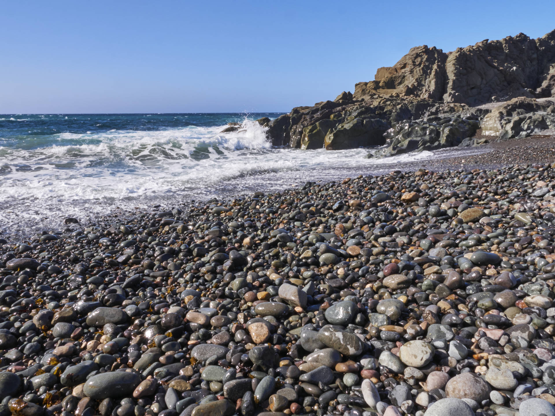 Sunny Fuerte