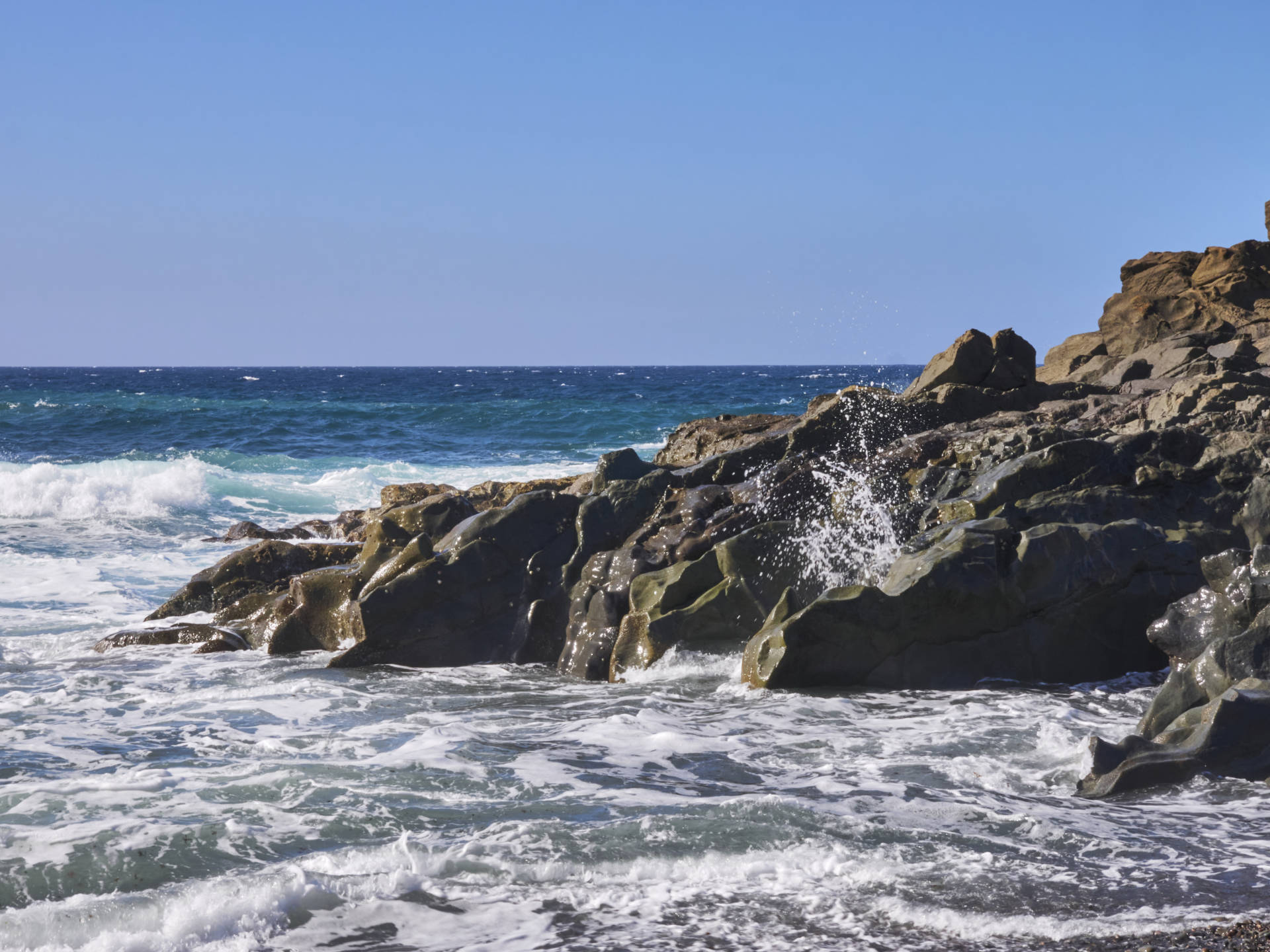 Sunny Fuerte